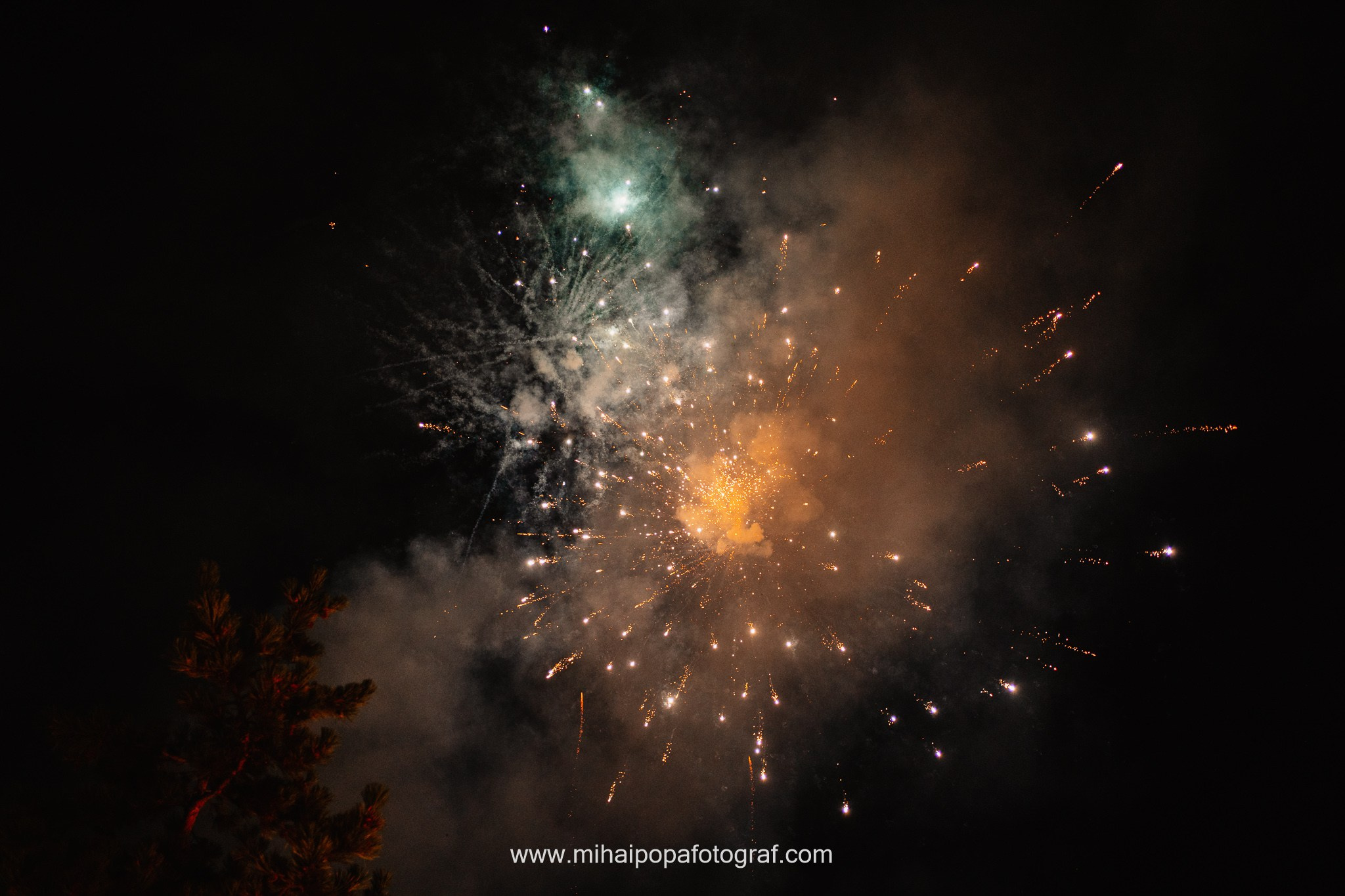 Moment emoționant între miri în ziua nunții, surprins într-un cadru natural și romantic, la Daimon Events. Fotografie de nuntă profesională, editată artistic pentru a evidenția emoția și eleganța evenimentului.