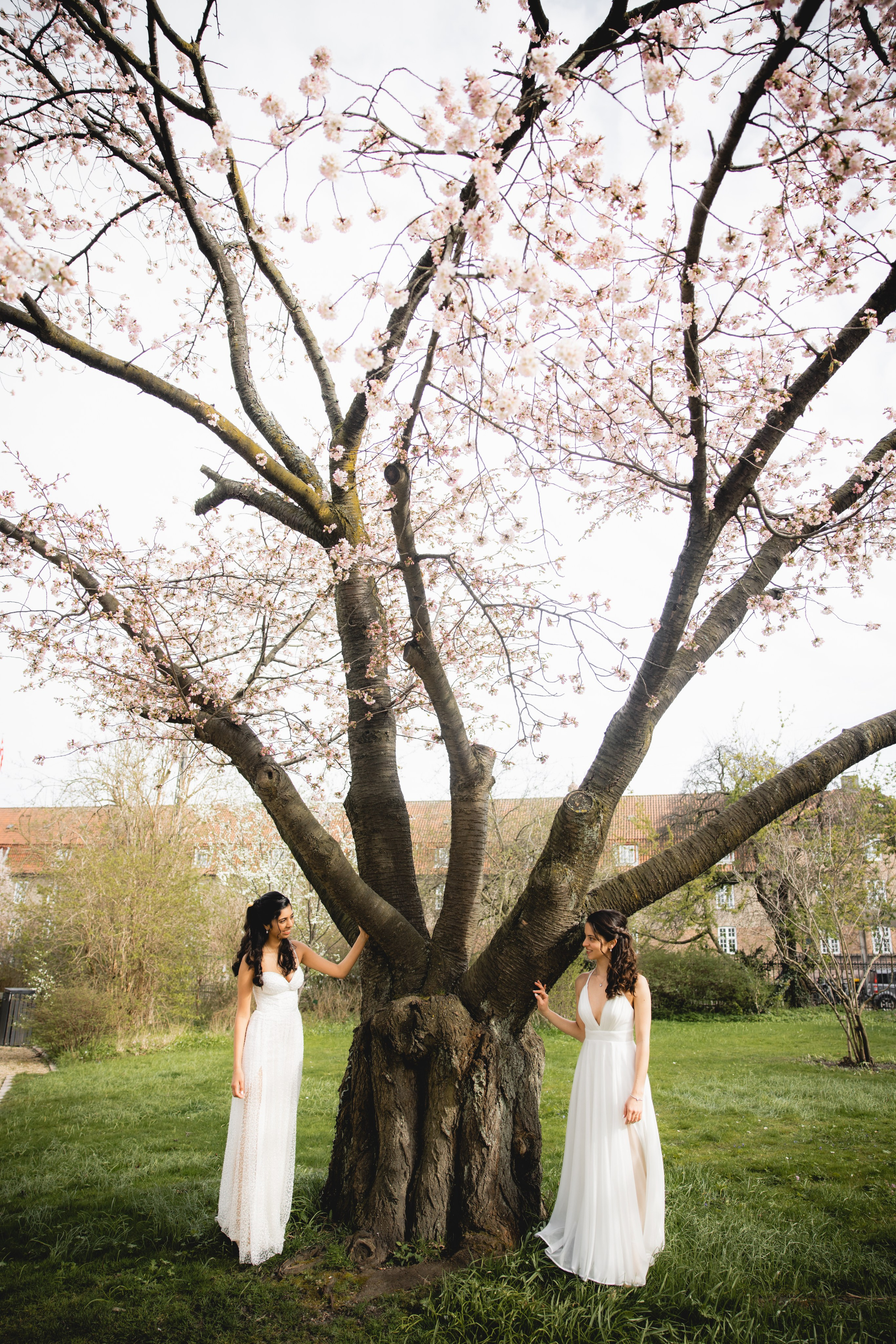 Shai & Batel. Professional wedding photographer in Copenhagen, Denmark — Julia Byron