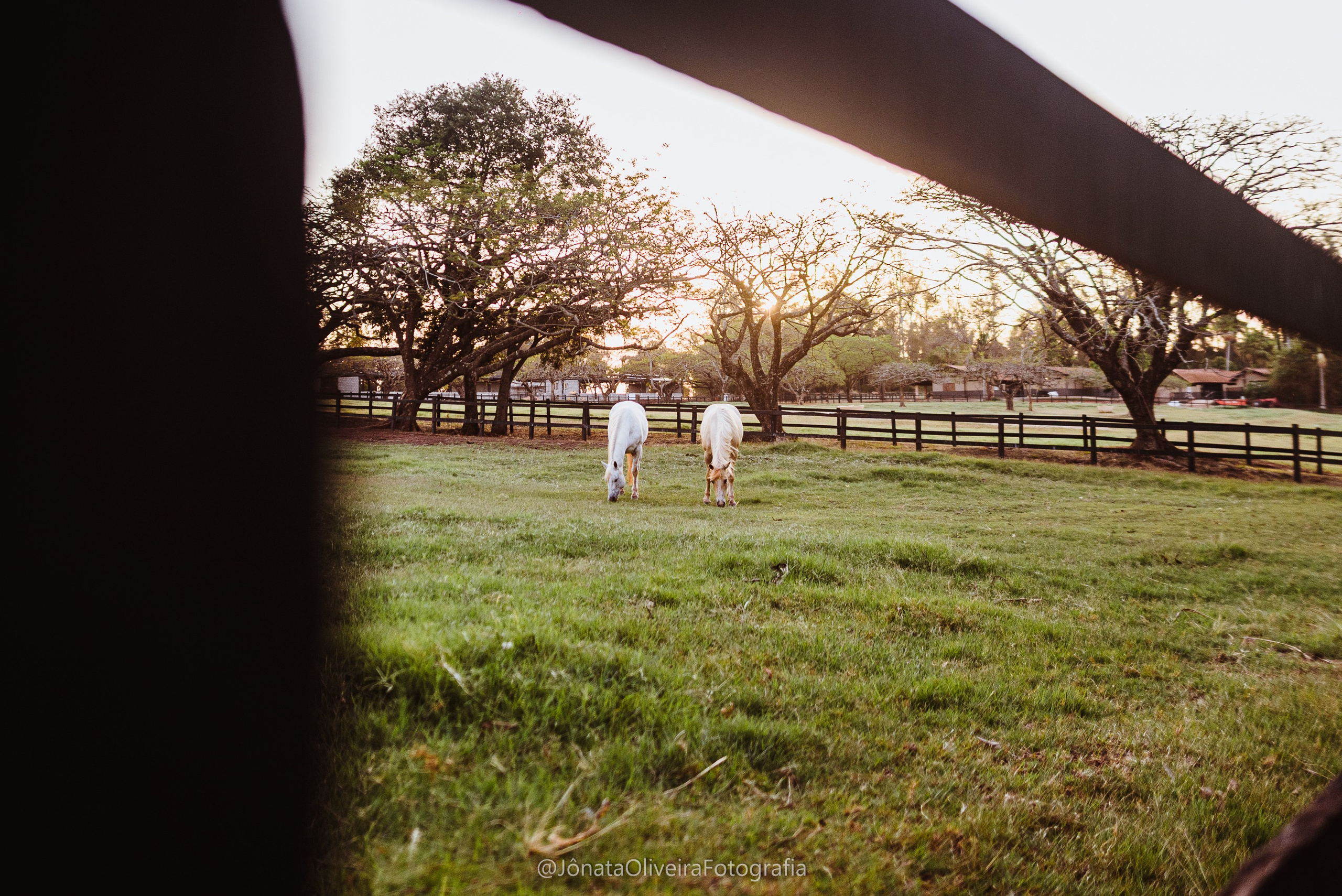 Pre Wedding Luérica e Vinicius. Fotografia de casamentos e ensaios em avaré Jônata Oliveira