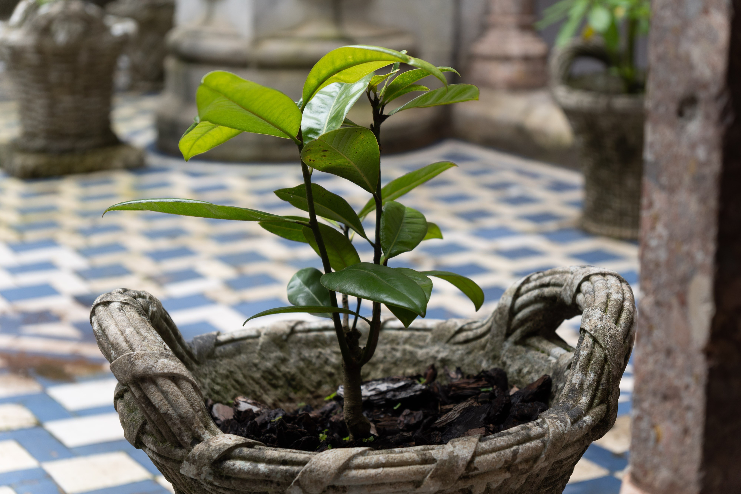 Lisabona 2025. Fotografiideplacere.net