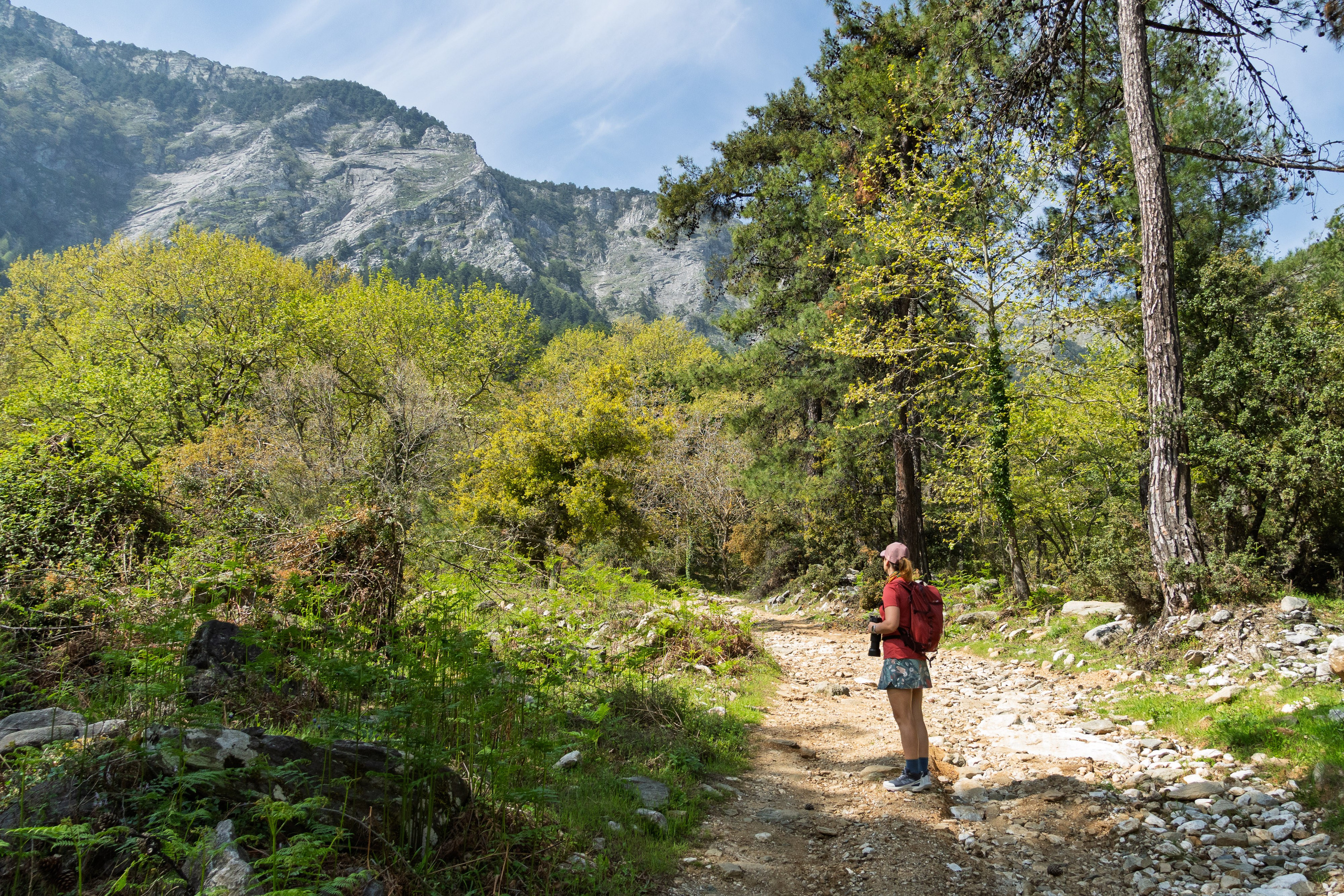 Thasos 2025. Fotografiideplacere.net