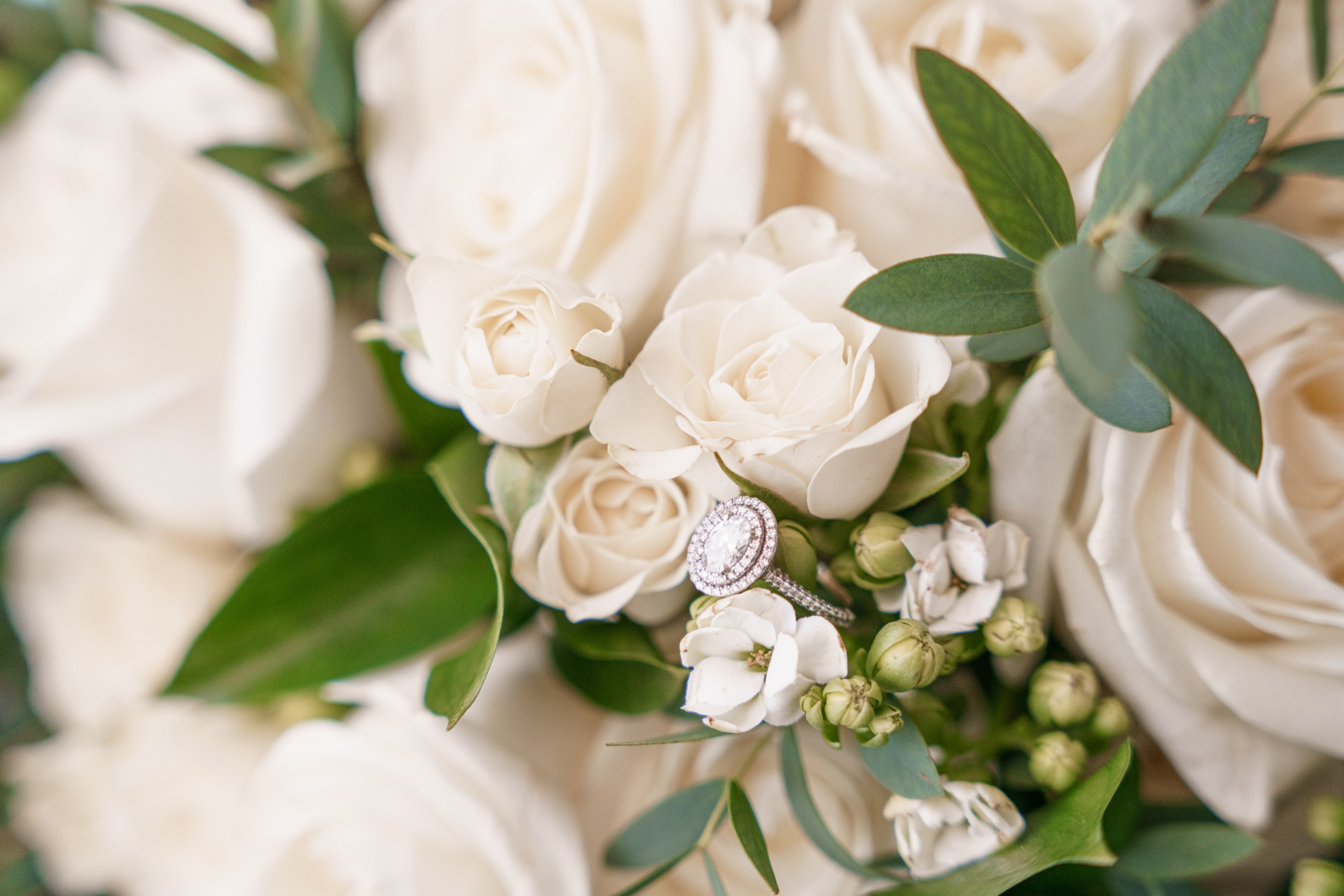 WeddingPhotos. Wedding photos and videos. Cancun, Tulum, Playa del Carmen, Los Cabos