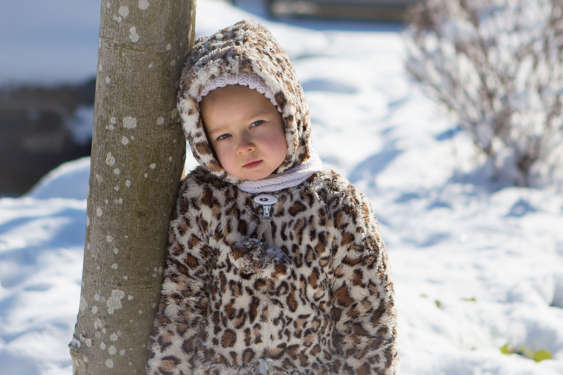 Winter. YuAnna studio. Family & Kids Photographer in Seattle area, located in