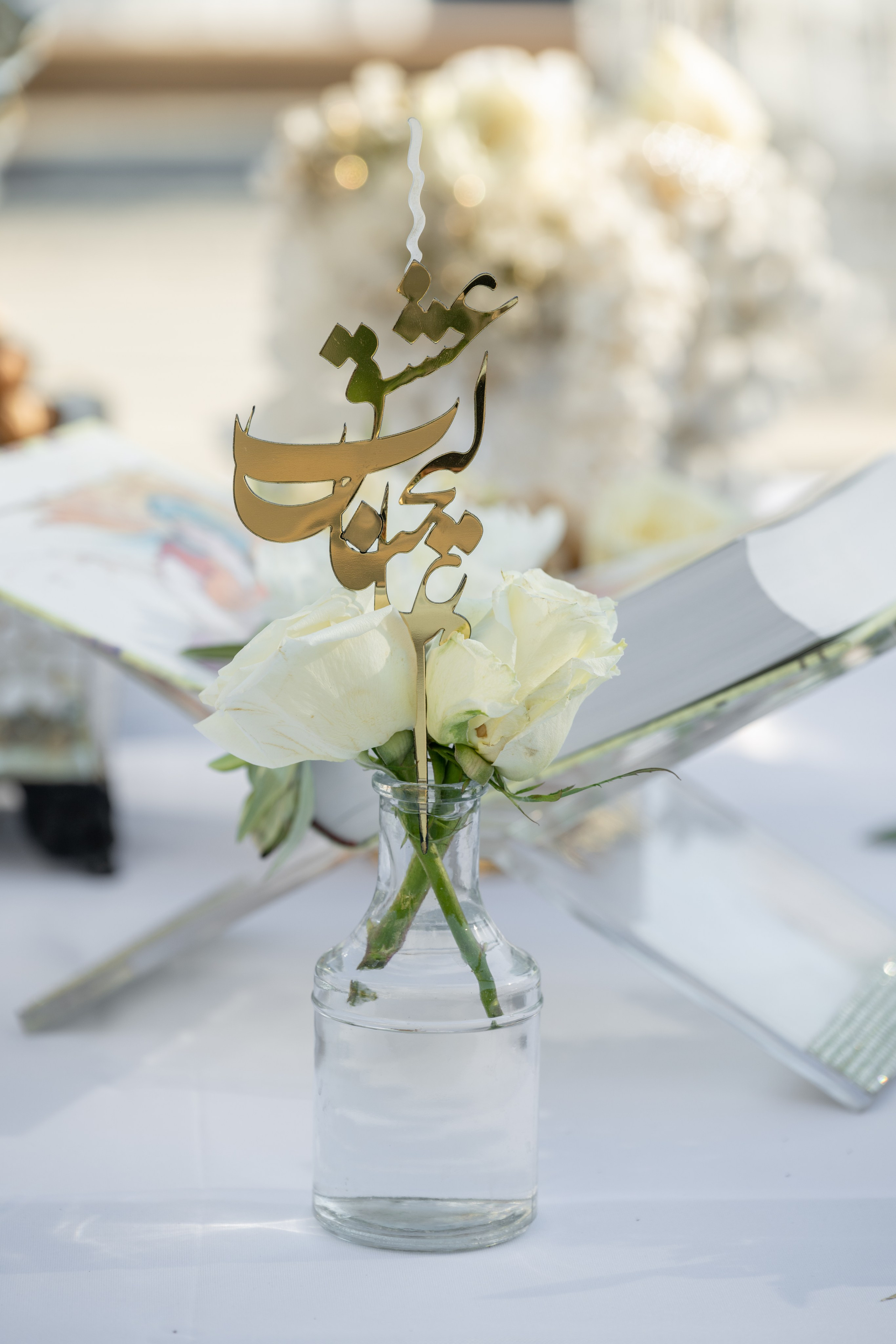 Mandana & Babak. Wedding Photo & Video