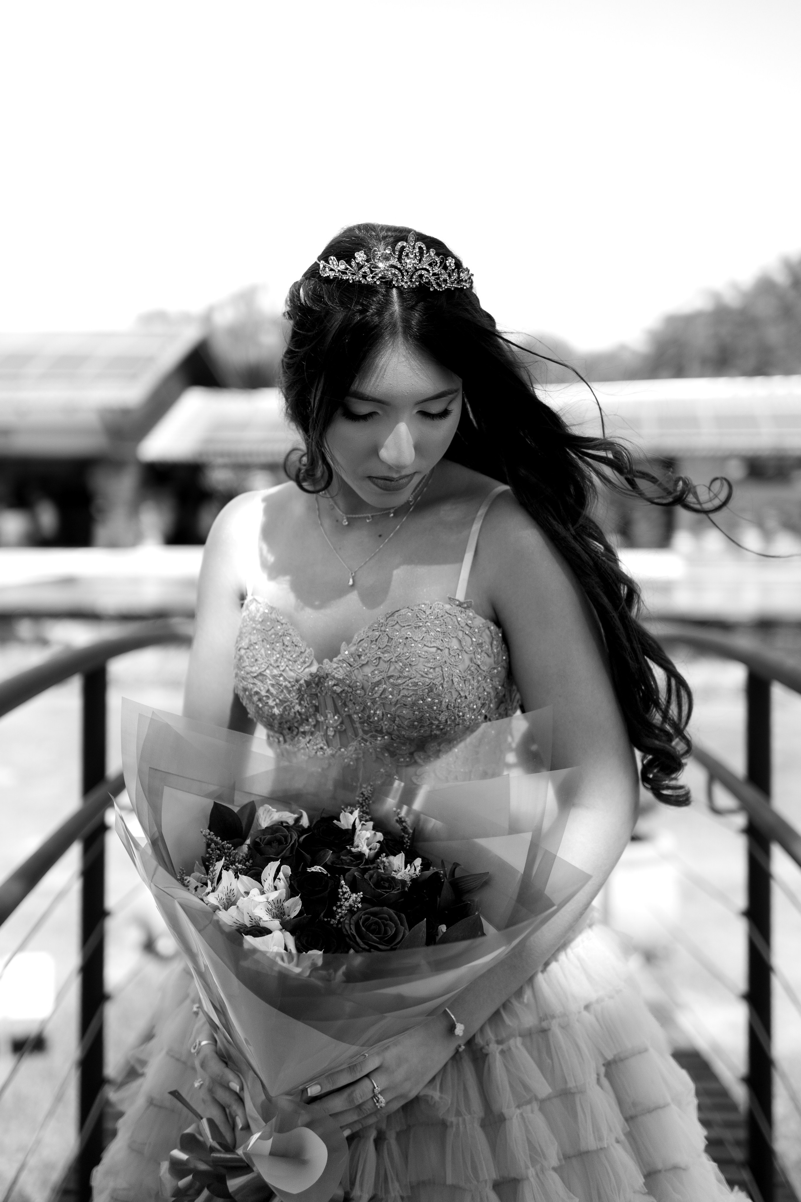 Debutante. Reference Visuals