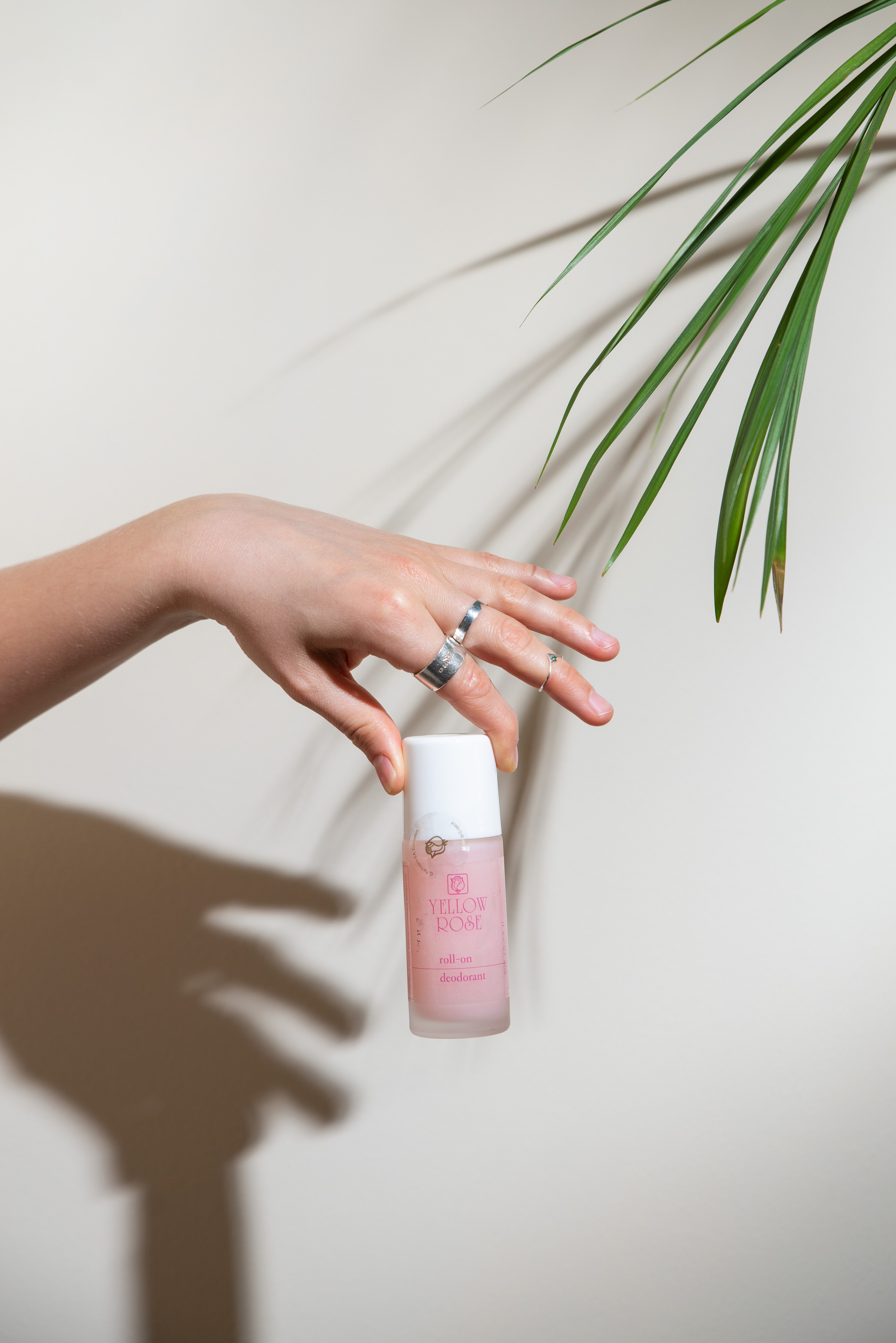 Aloe Vera. Съемки для бизнеса. Ekaterina Verbitskaya. Photography