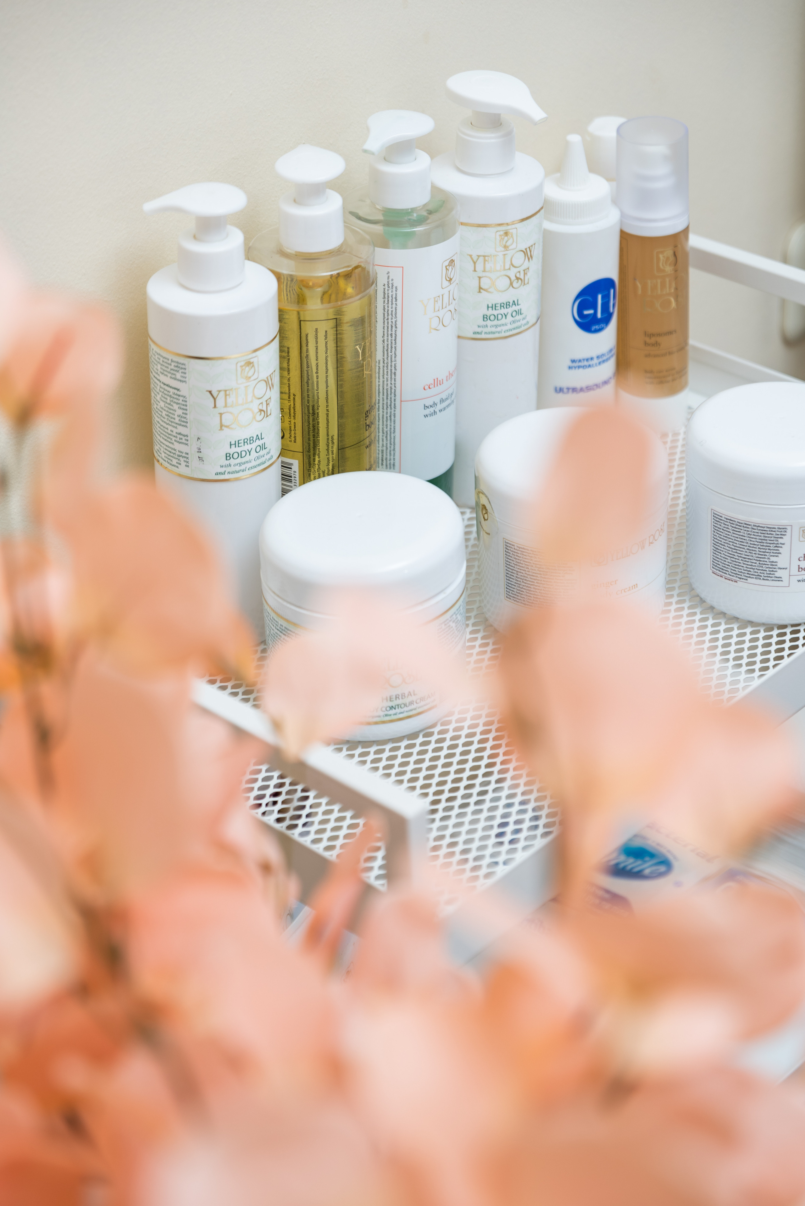 Aloe Vera. Съемки для бизнеса. Ekaterina Verbitskaya. Photography