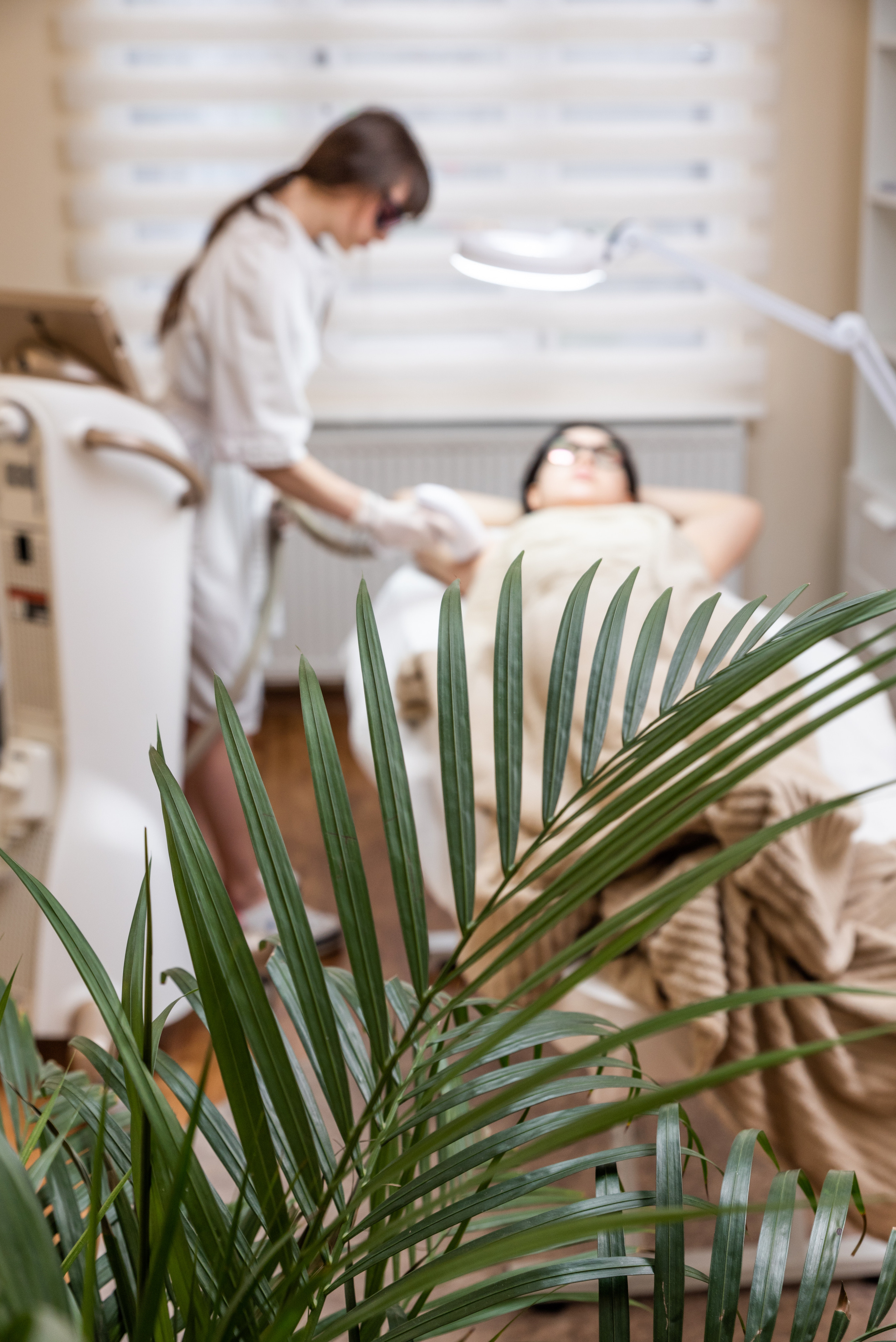 Aloe Vera. Съемки для бизнеса. Ekaterina Verbitskaya. Photography