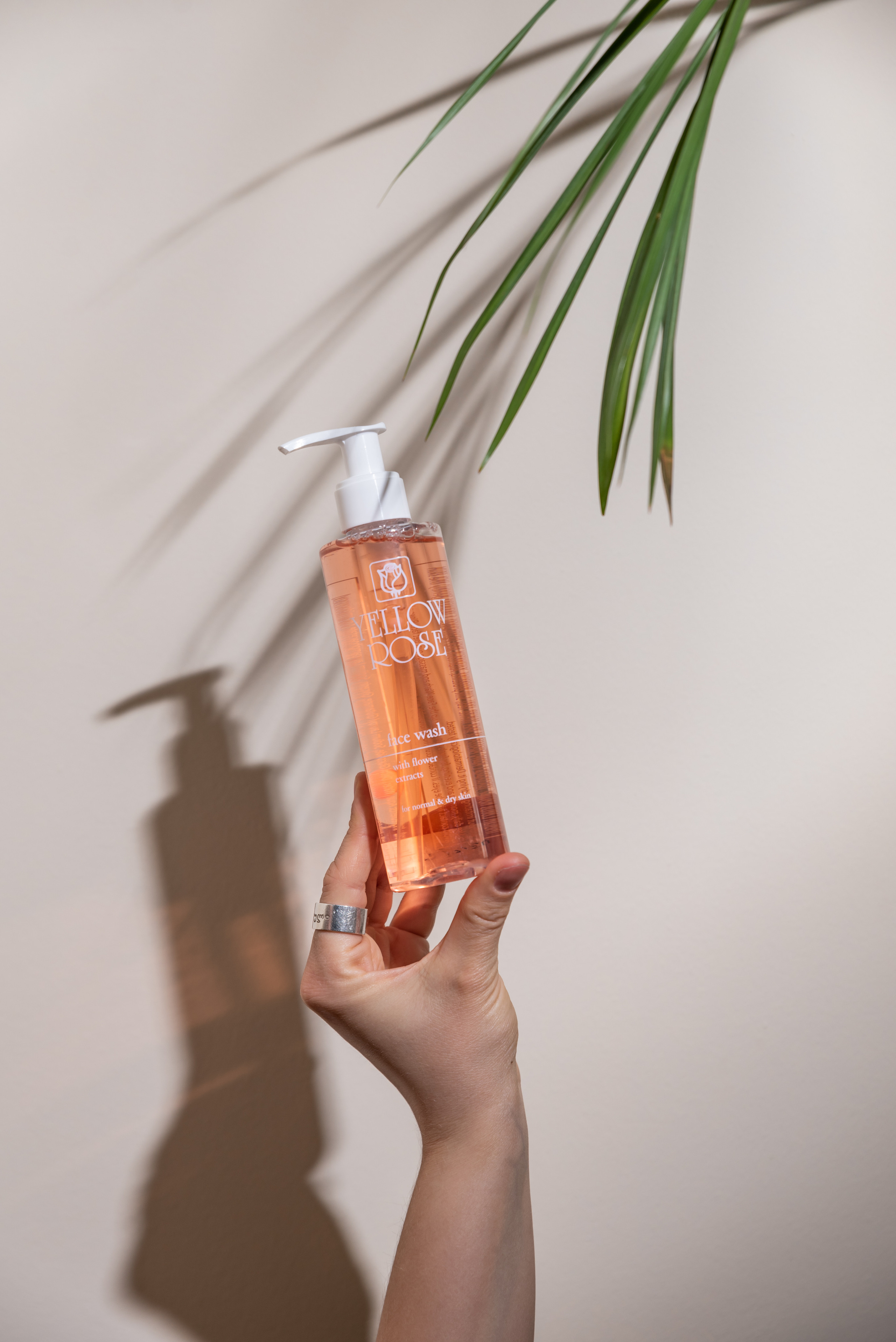 Aloe Vera. Съемки для бизнеса. Ekaterina Verbitskaya. Photography