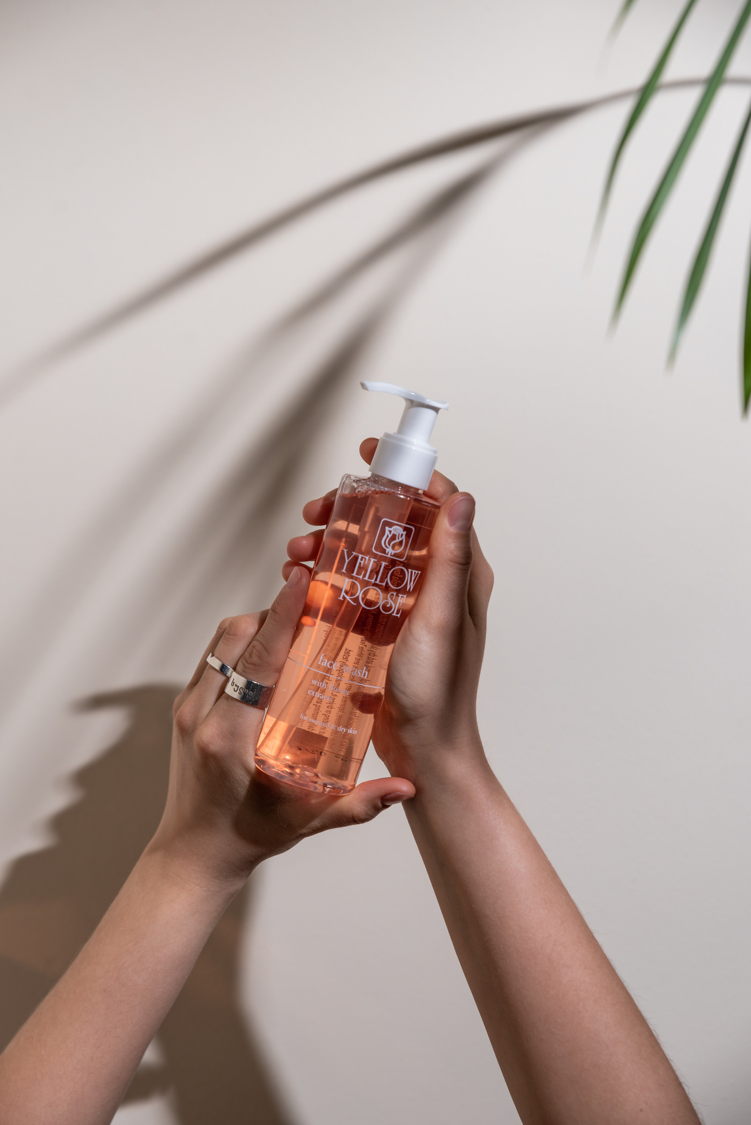 Aloe Vera. Съемки для бизнеса. Ekaterina Verbitskaya. Photography