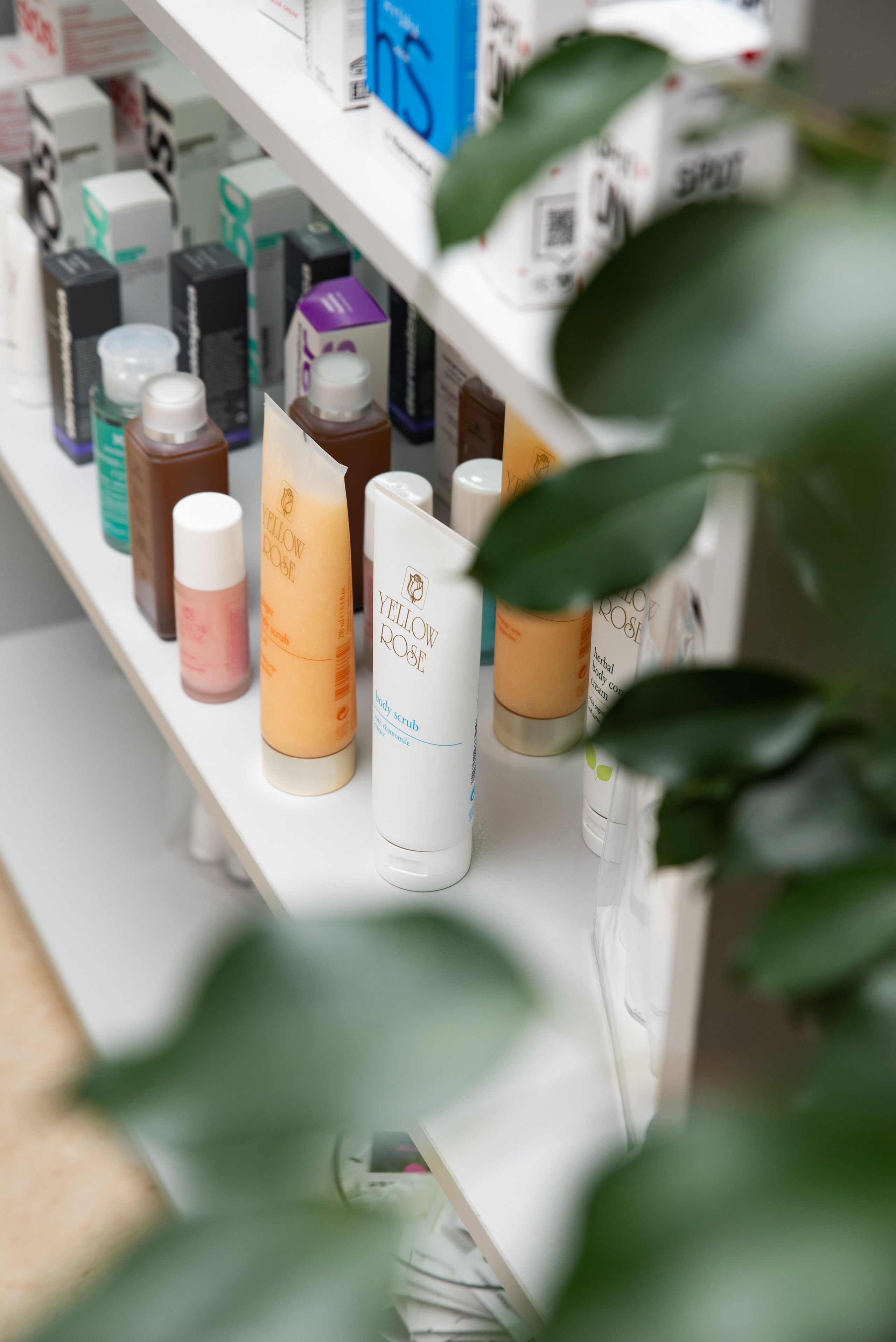 Aloe Vera. Съемки для бизнеса. Ekaterina Verbitskaya. Photography