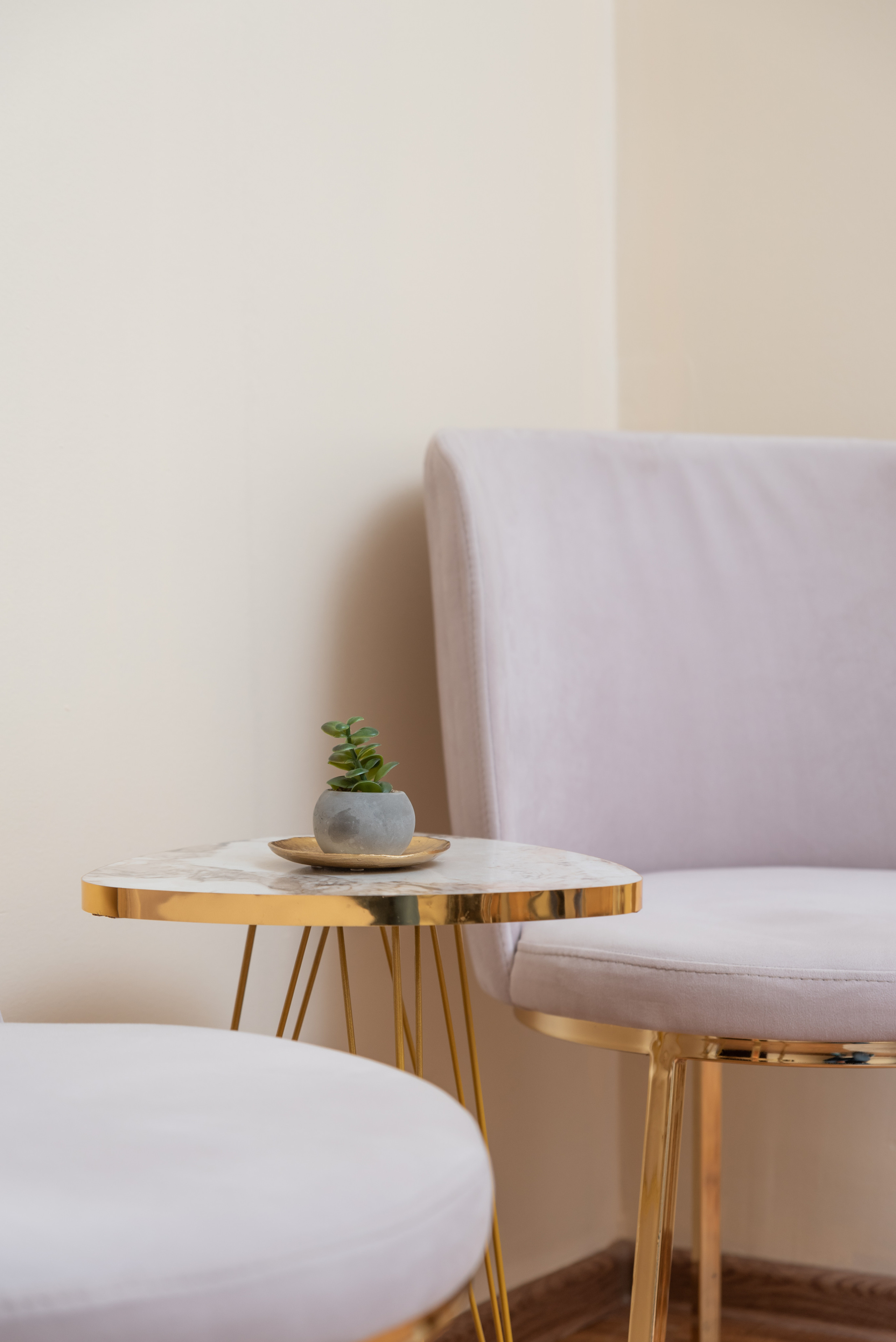 Aloe Vera. Съемки для бизнеса. Ekaterina Verbitskaya. Photography