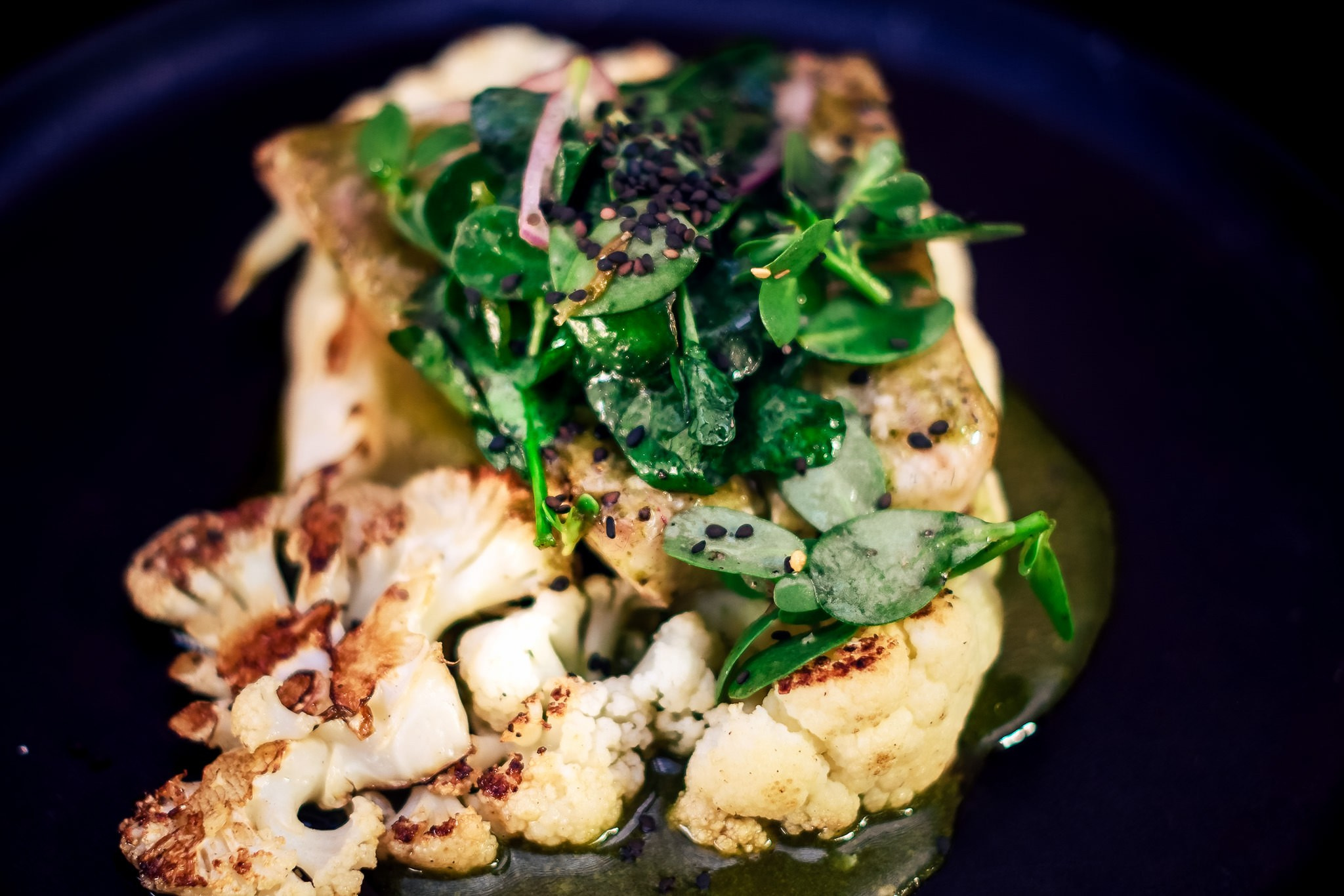 Bailey & Jacob. Wedding and family photographer in Mexico City