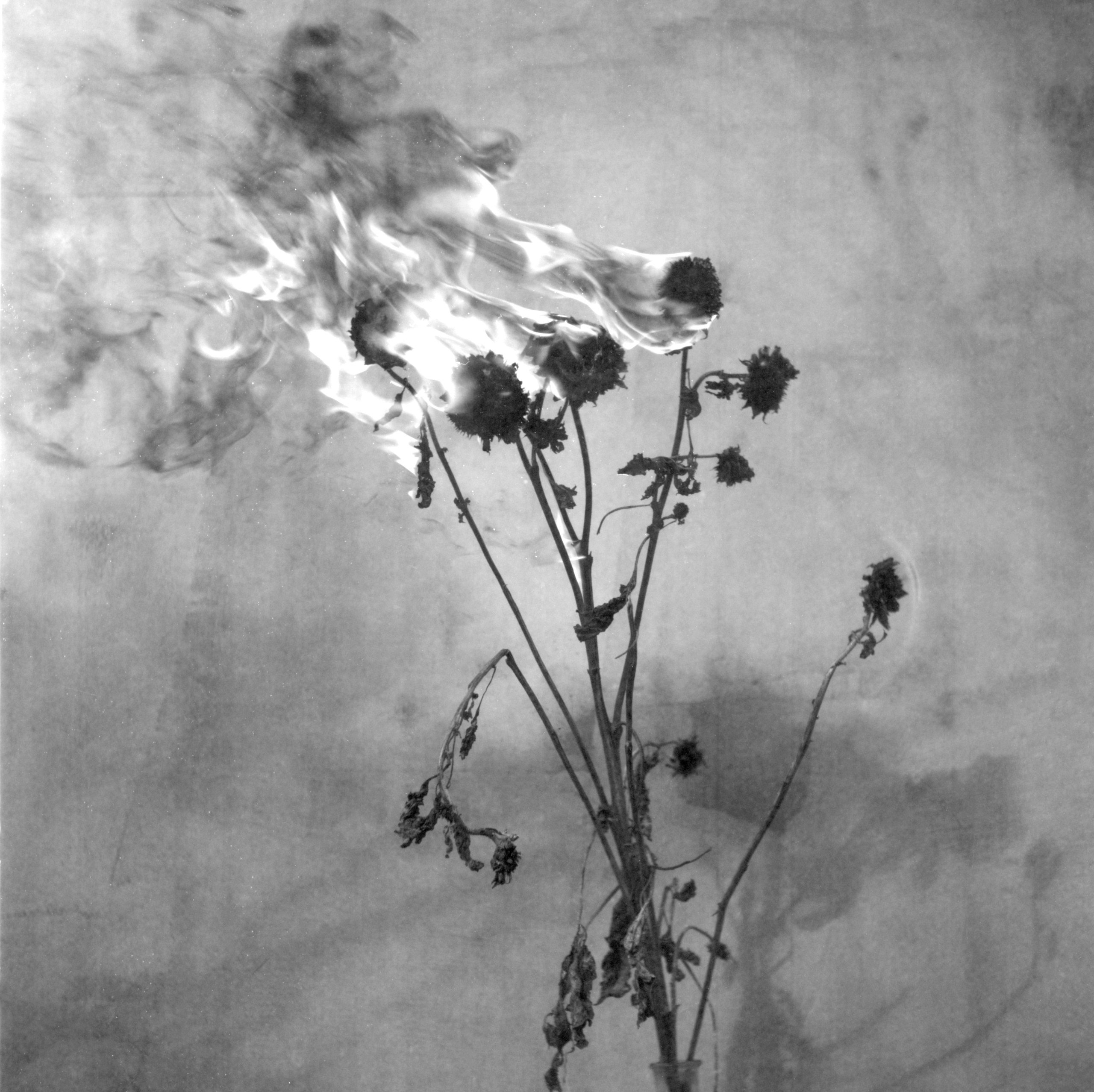 When it is day for angels in heaven, it is night for people on earth. Natalia Parfenova visual artist film photographer