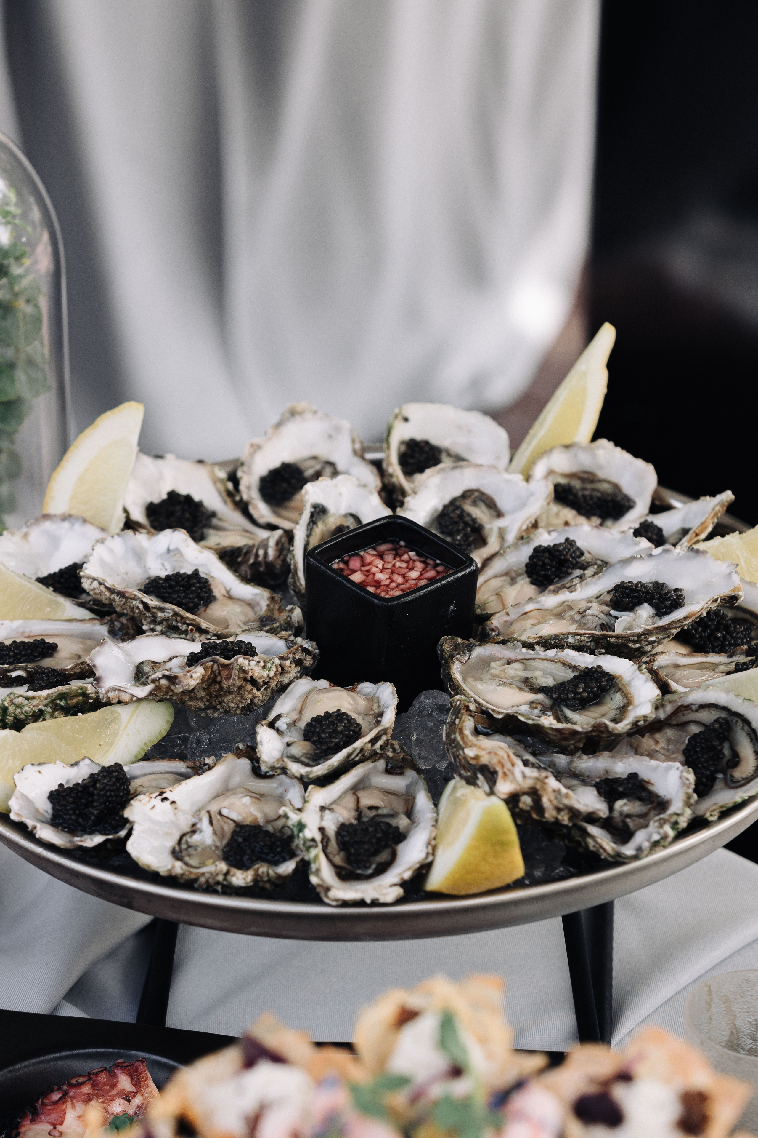 Ēdieni un dzērieni. BELLOW US FOTOGRĀFS RĪGA