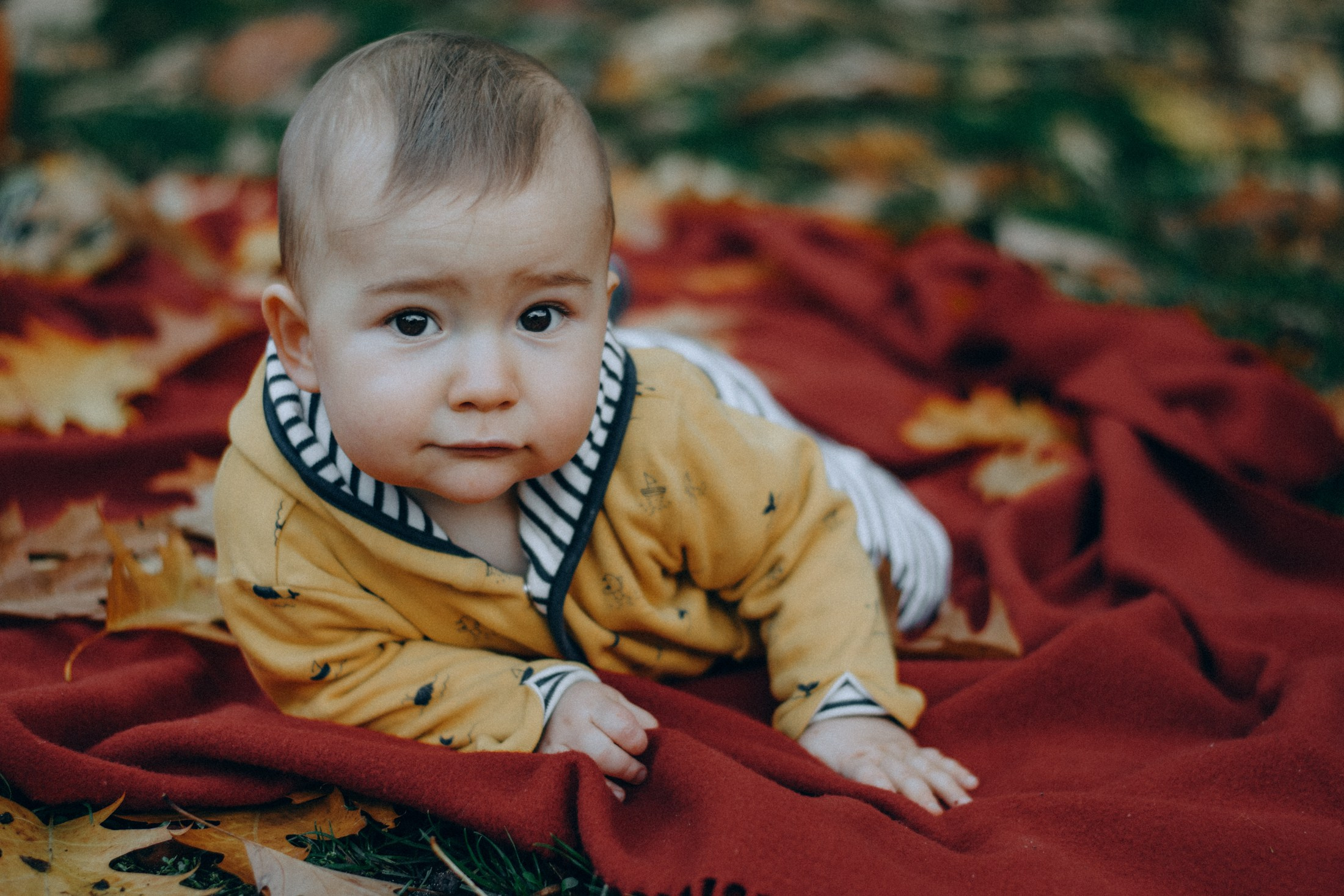 Малыш на пледе среди осенних листьев – фотосессия детей, тёплая семейная фотография