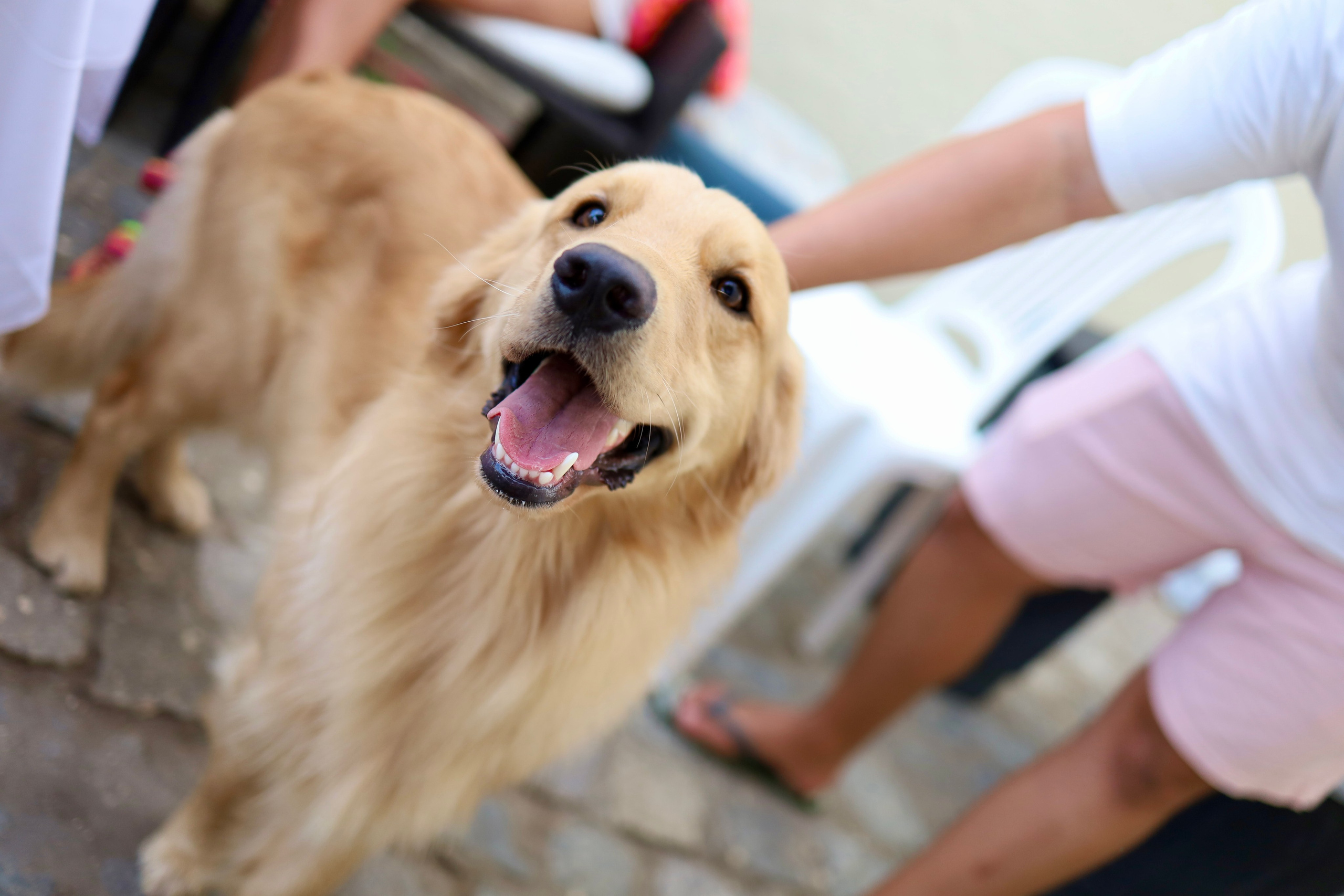 Eventos. Heitor Fernando — Fotógrafo em Recife