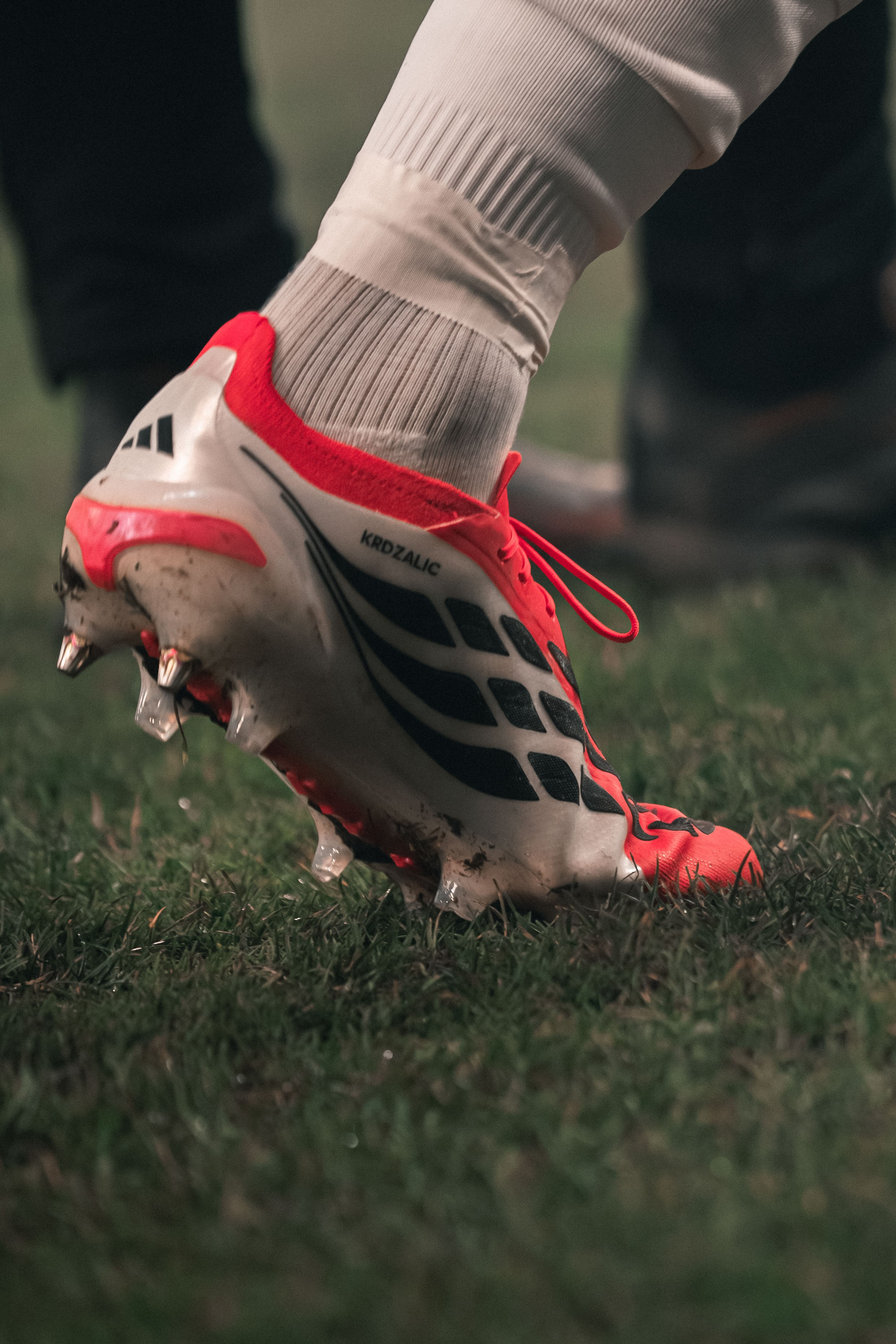 FK Sarajevo — 2025/2026