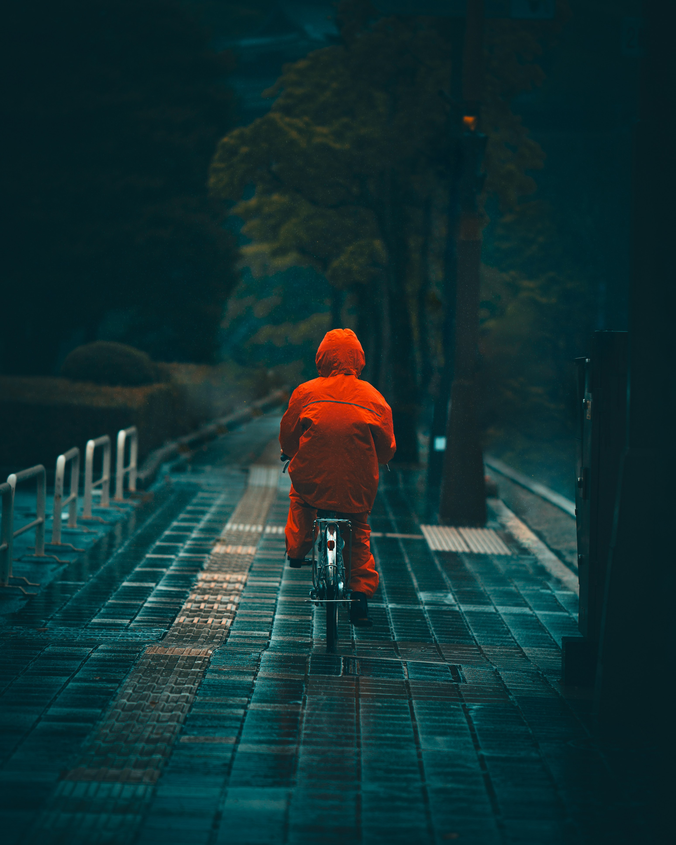 Silhouette stories. Senya JP