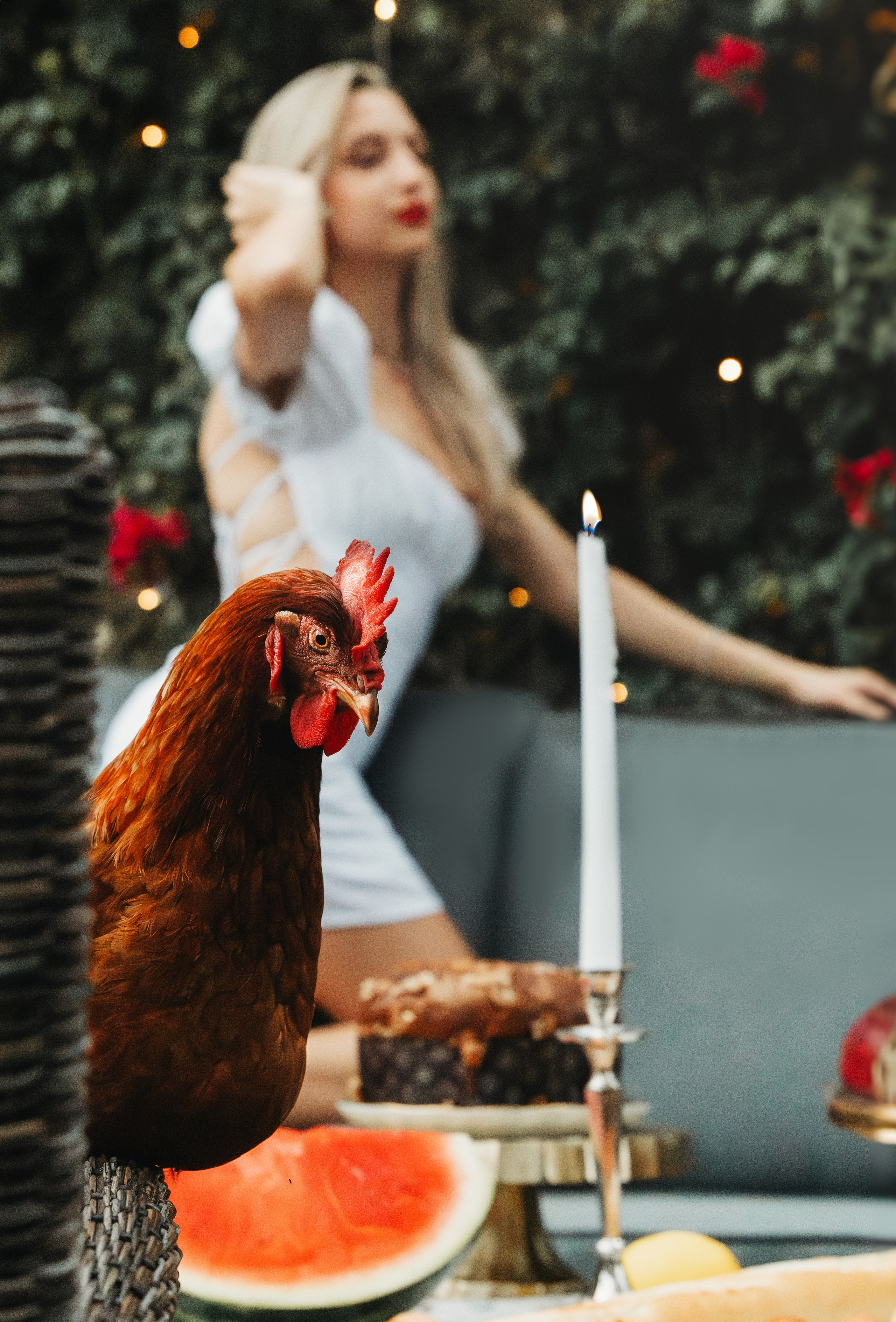 Coco & Chanel. Pet Photographer Viktoriya Aleshenko