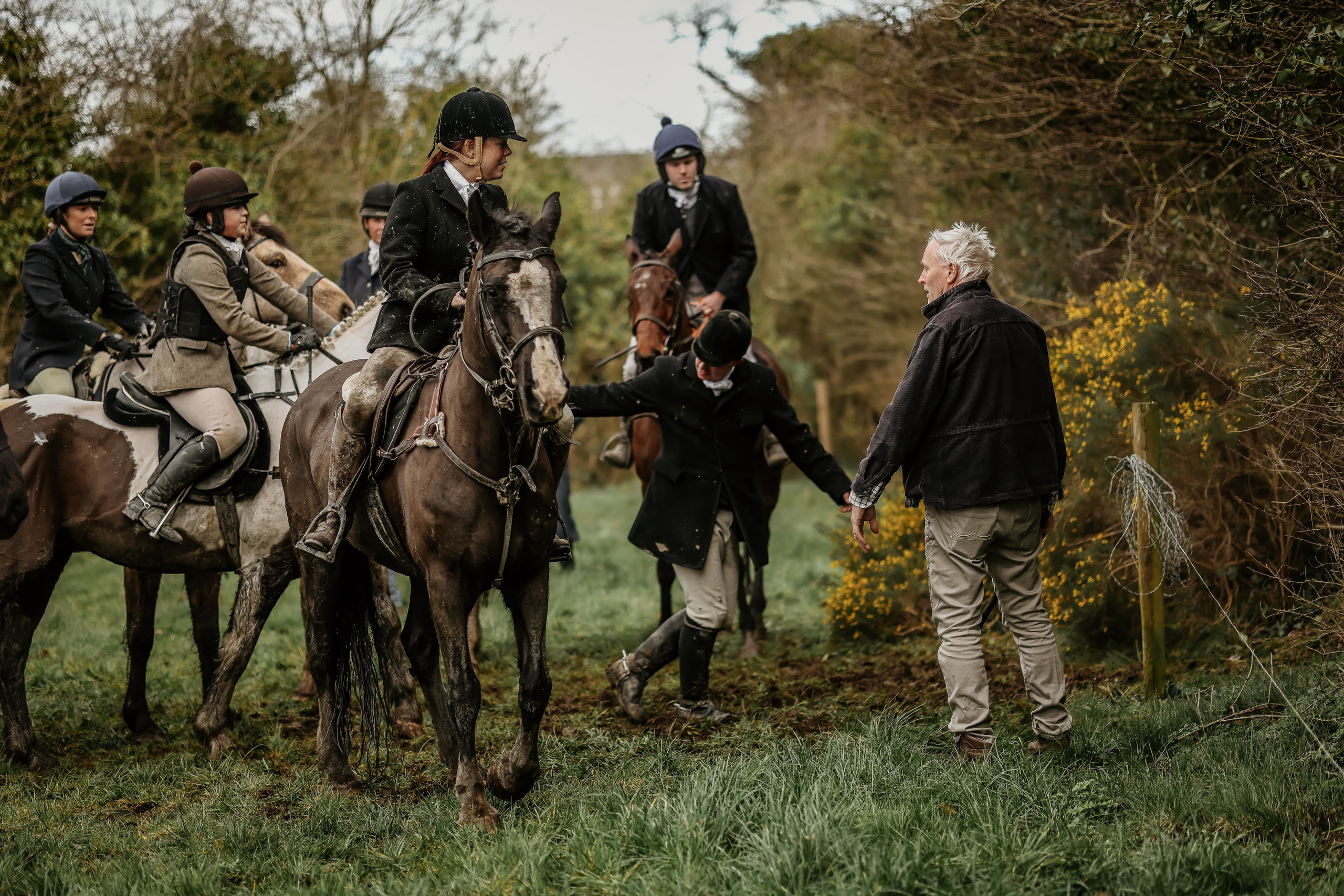 Hunting. Photographer Co Dublin, Balbriggan — Agata Maliseva