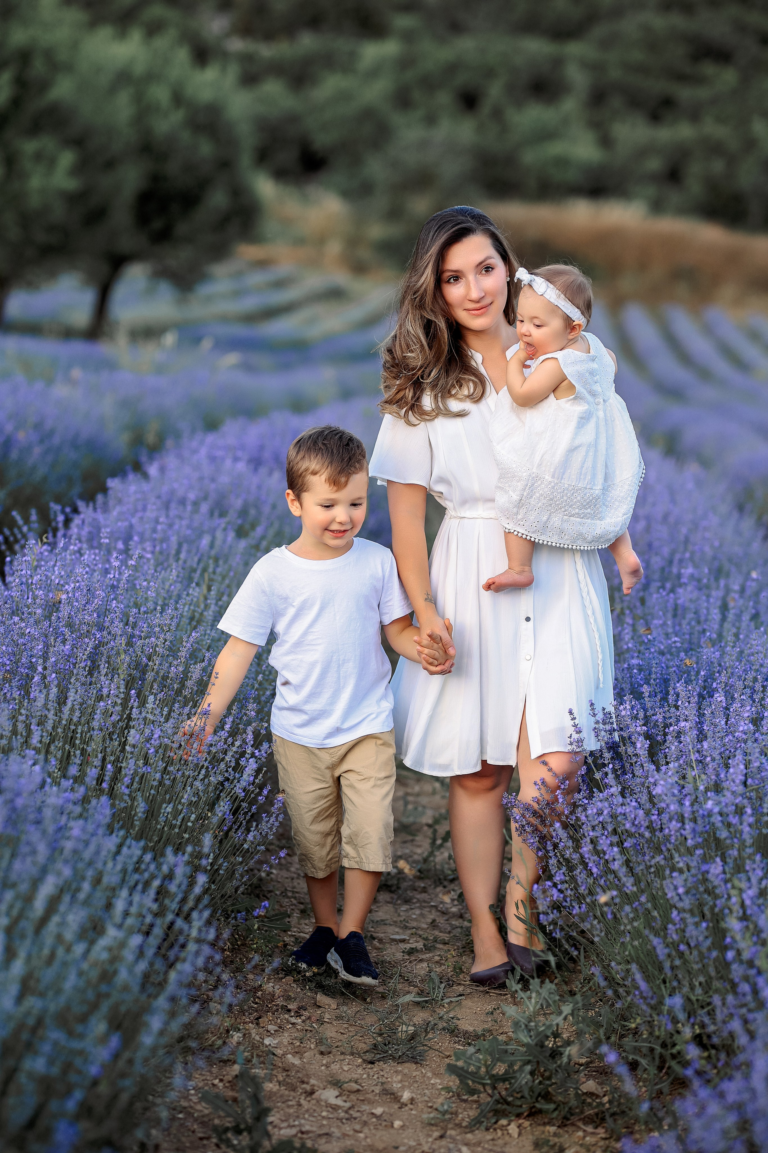 Lavender in Antalya. Photographer in Turkey, Antalya, Kemer, Belek, Side, Kas, Fethiye