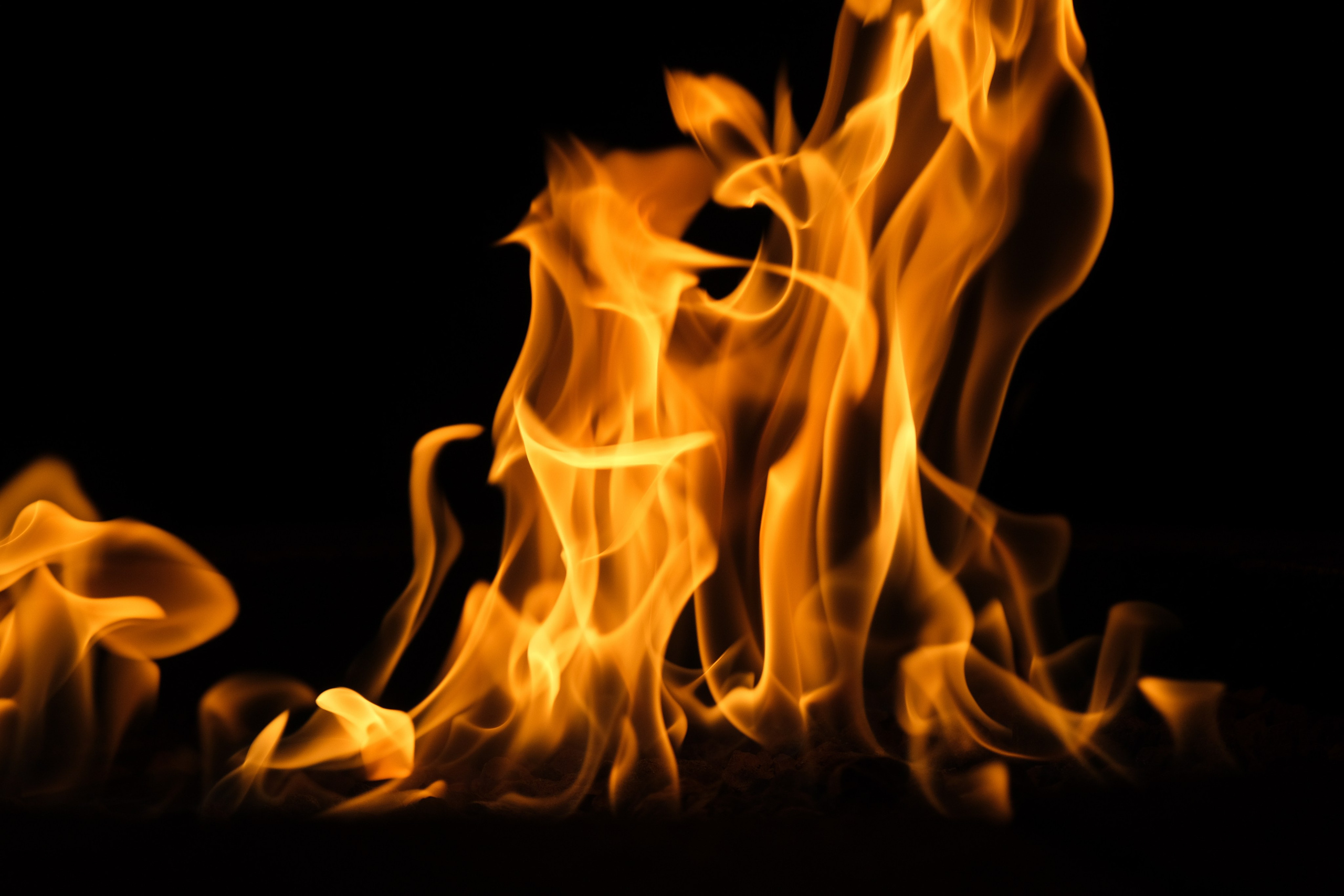 VATRA. Reportage concert portrait photography in the San Francisco Bay Area