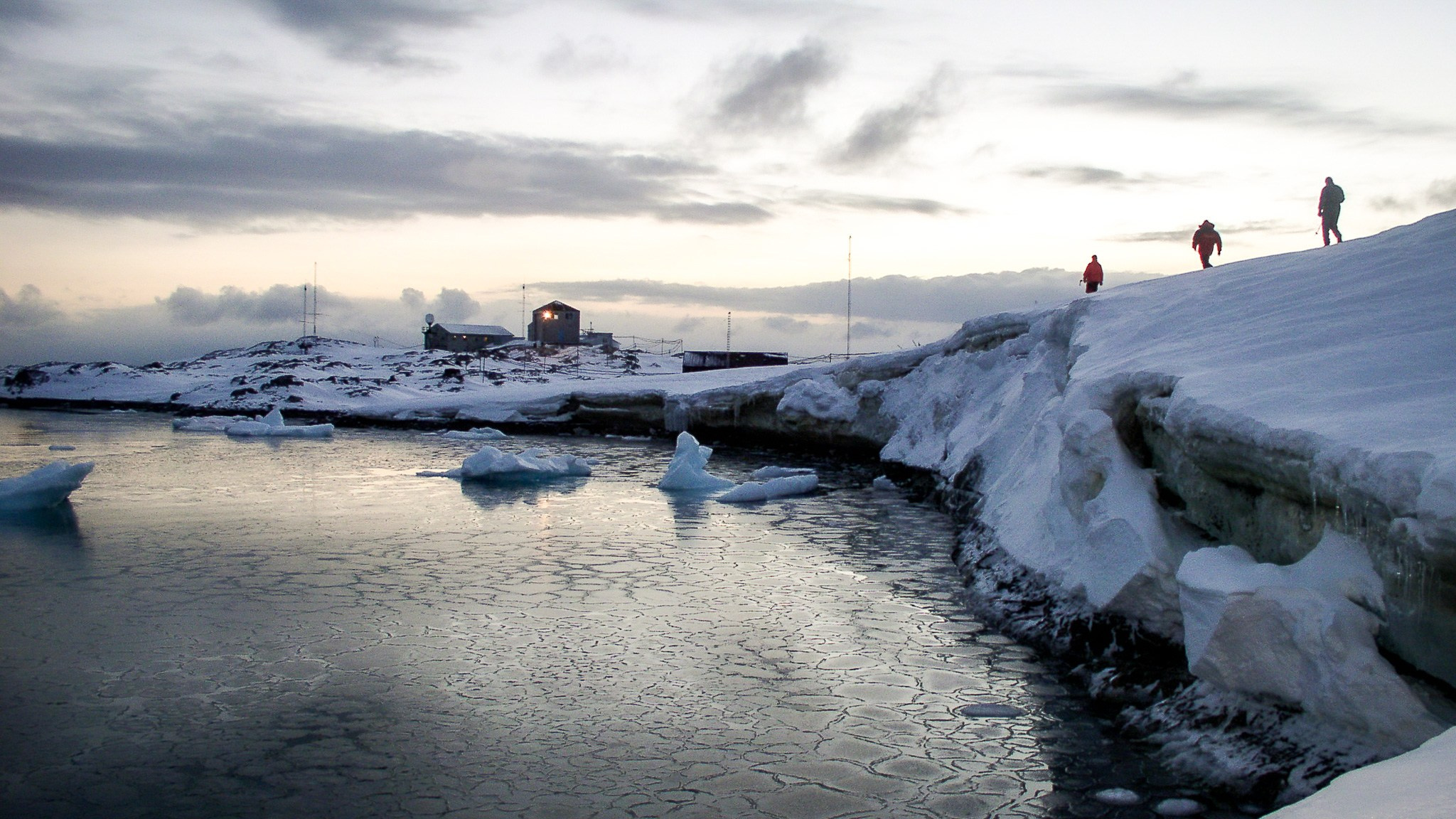 ANTARCTICA / 2004. Reportage concert portrait photography in the San Francisco Bay Area