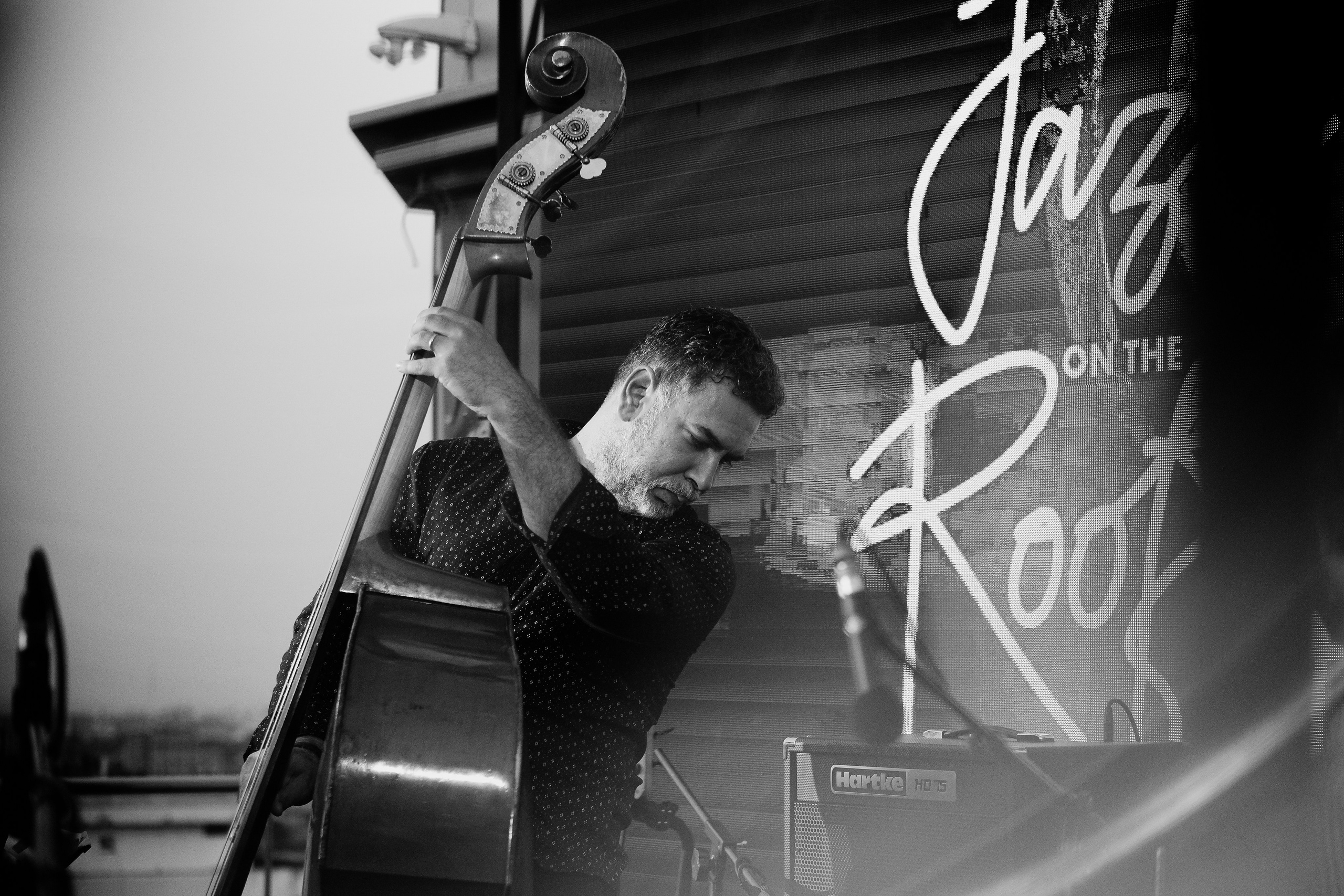 Razvan Cojanu. Hornetart