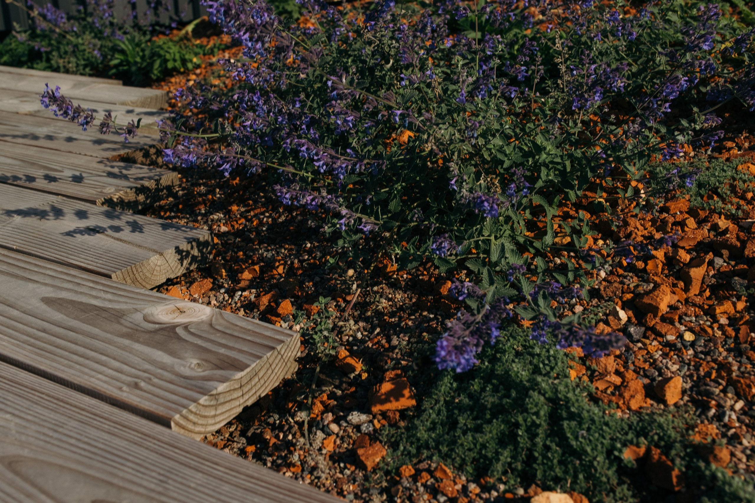 Hotelli Pier 4:n kattoterassi, Sokos. Valokuvaaja Lahti, Helsinki Elena Salonen