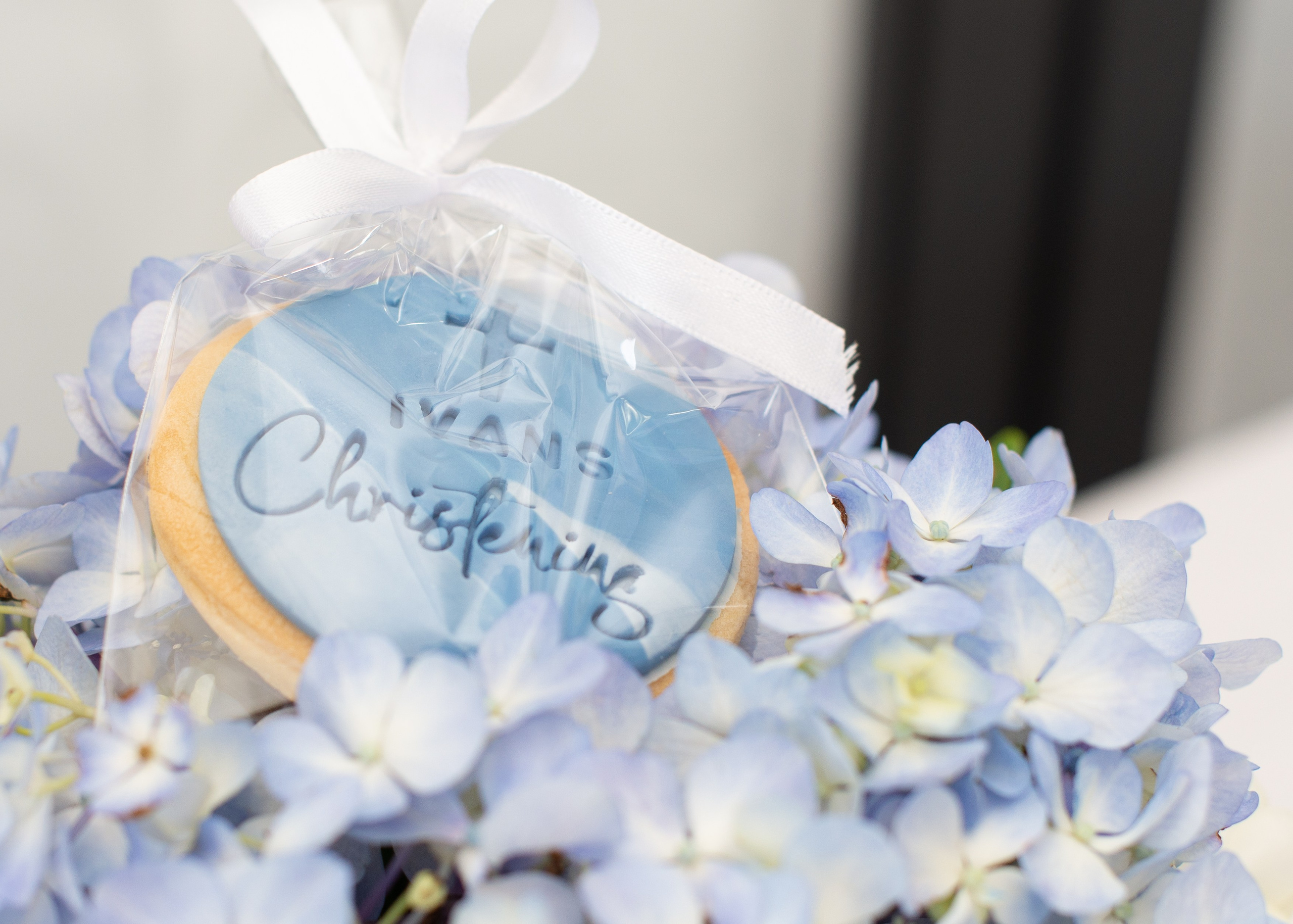 Events “CAPTURING THE MOMENTS THAT MATTER MOST”. Children, family and event photographer Mirjana Zdravkovic