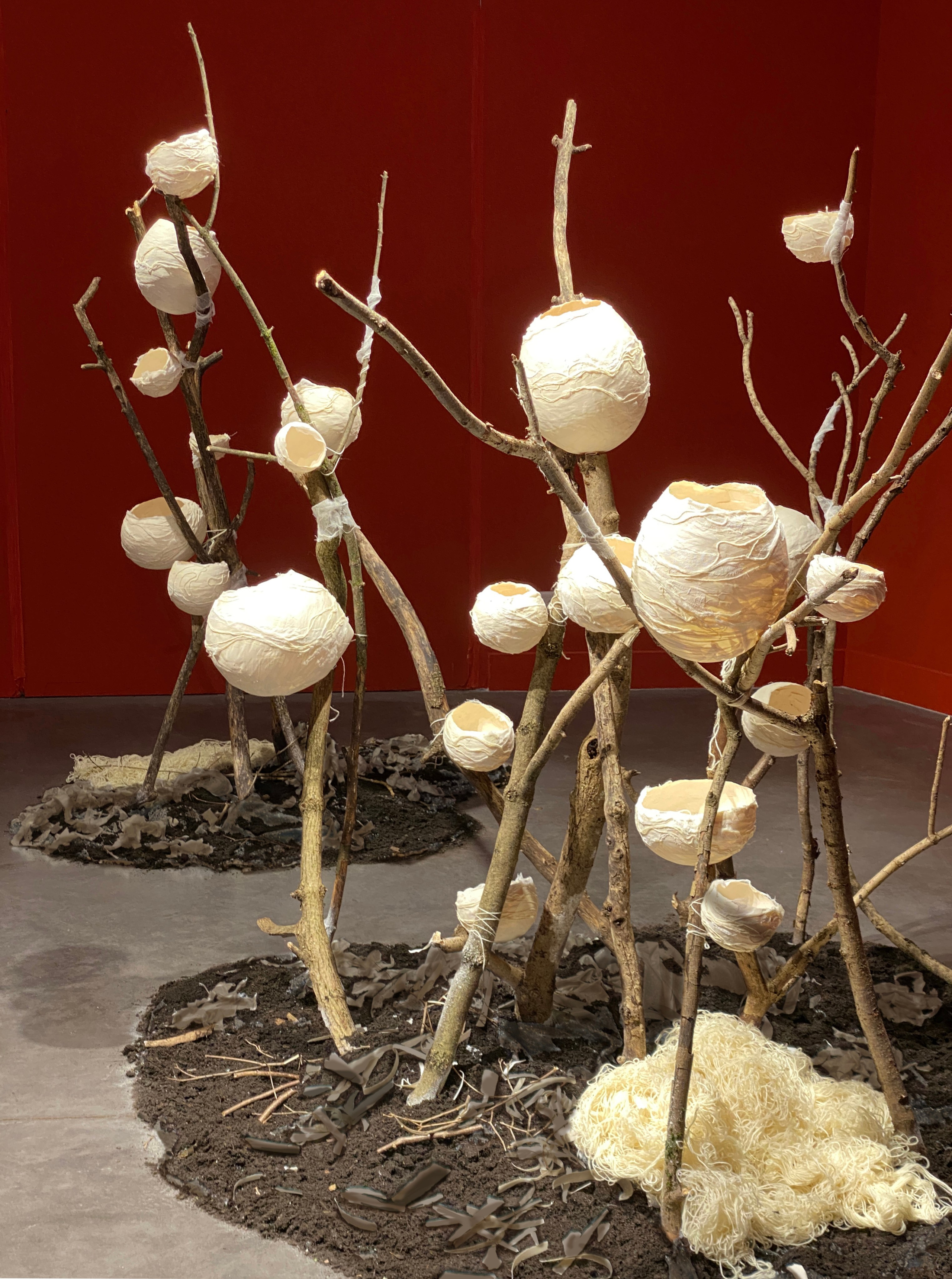 Le TRACé — Centre du Graphisme.2024. Yujoo HONG