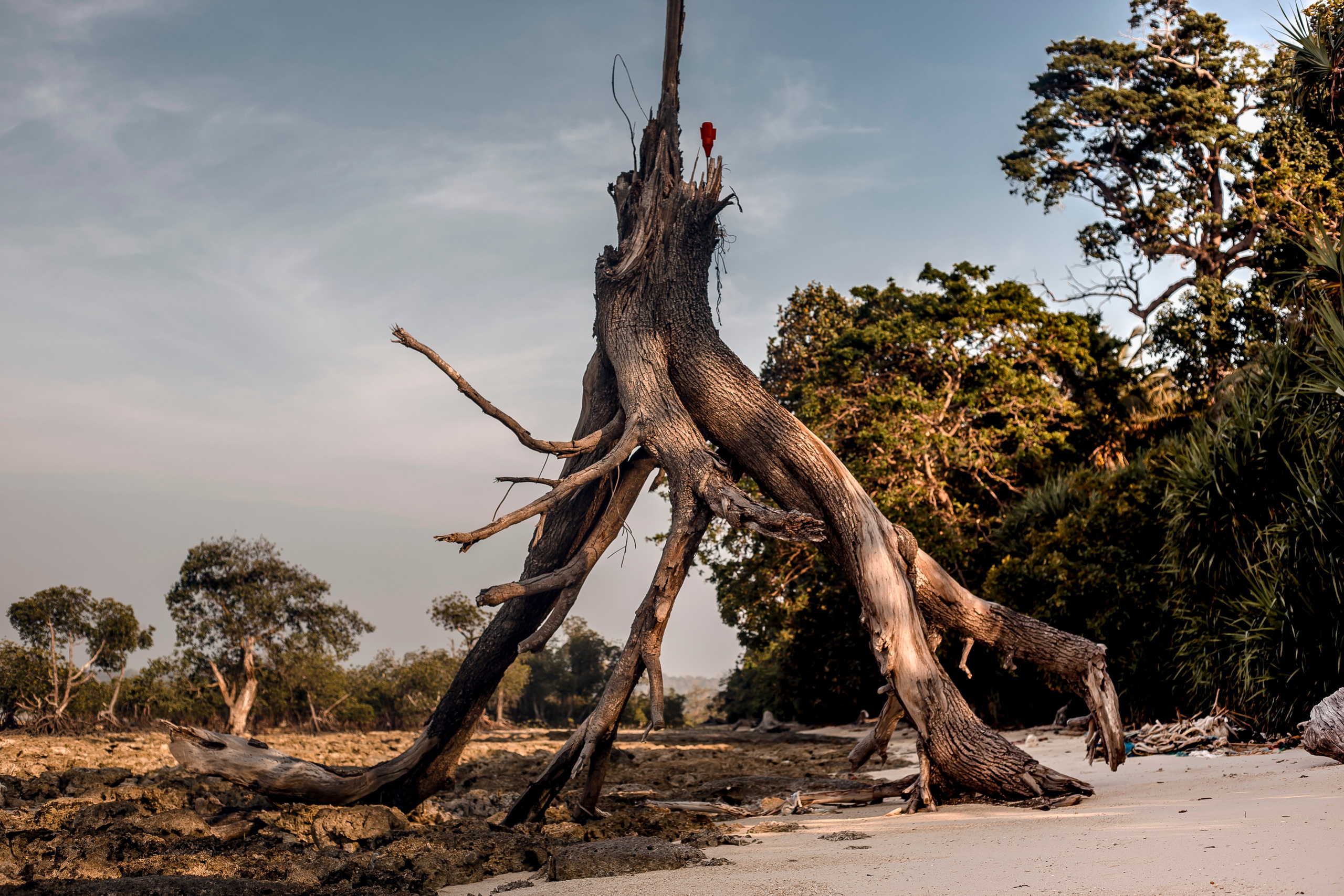 Andaman Islands, Part2. Art Photographer