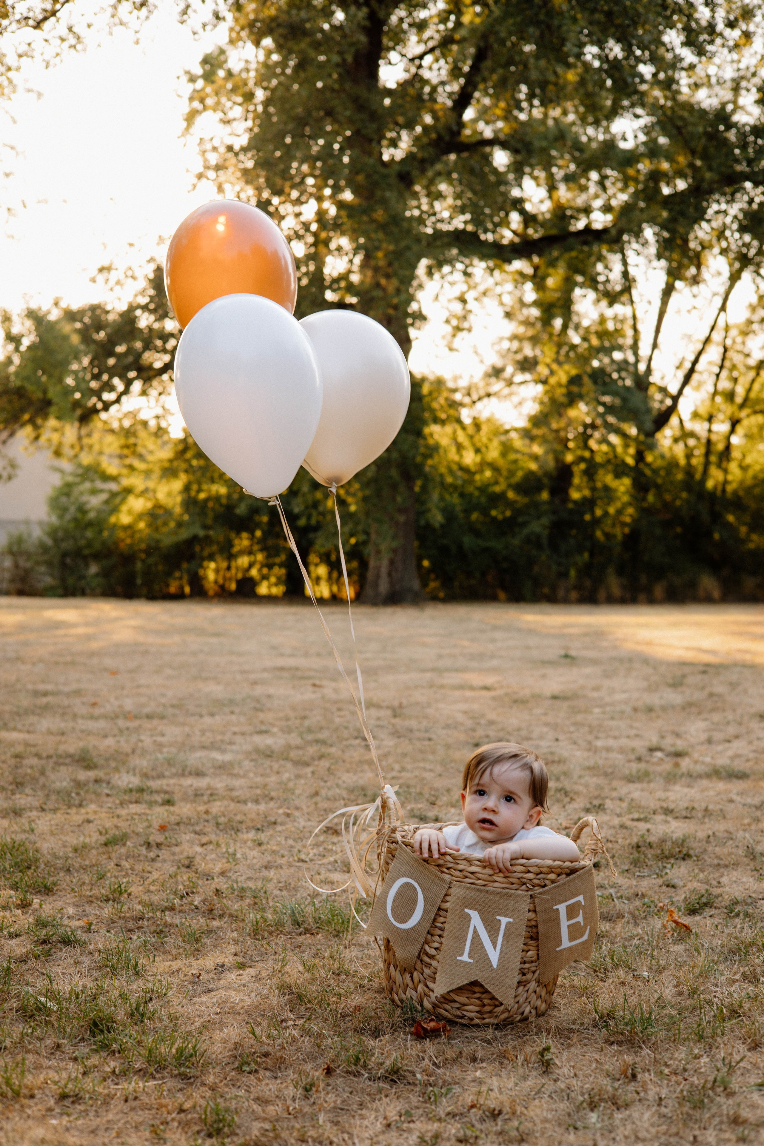 Smash Cake Photography. Family and Wedding Photographer