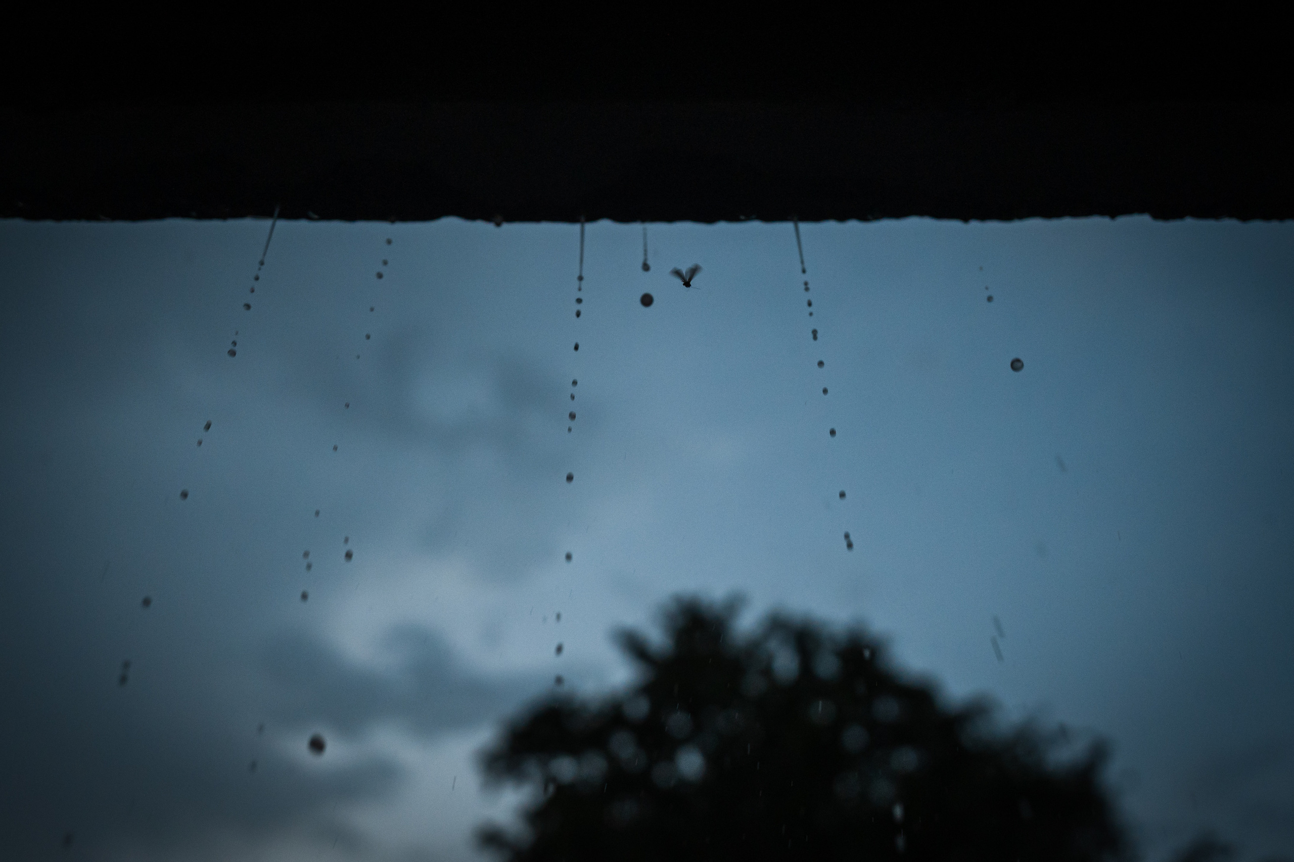 Стрит и Урбан. Георгий Намазов | Фотограф в Ташкенте