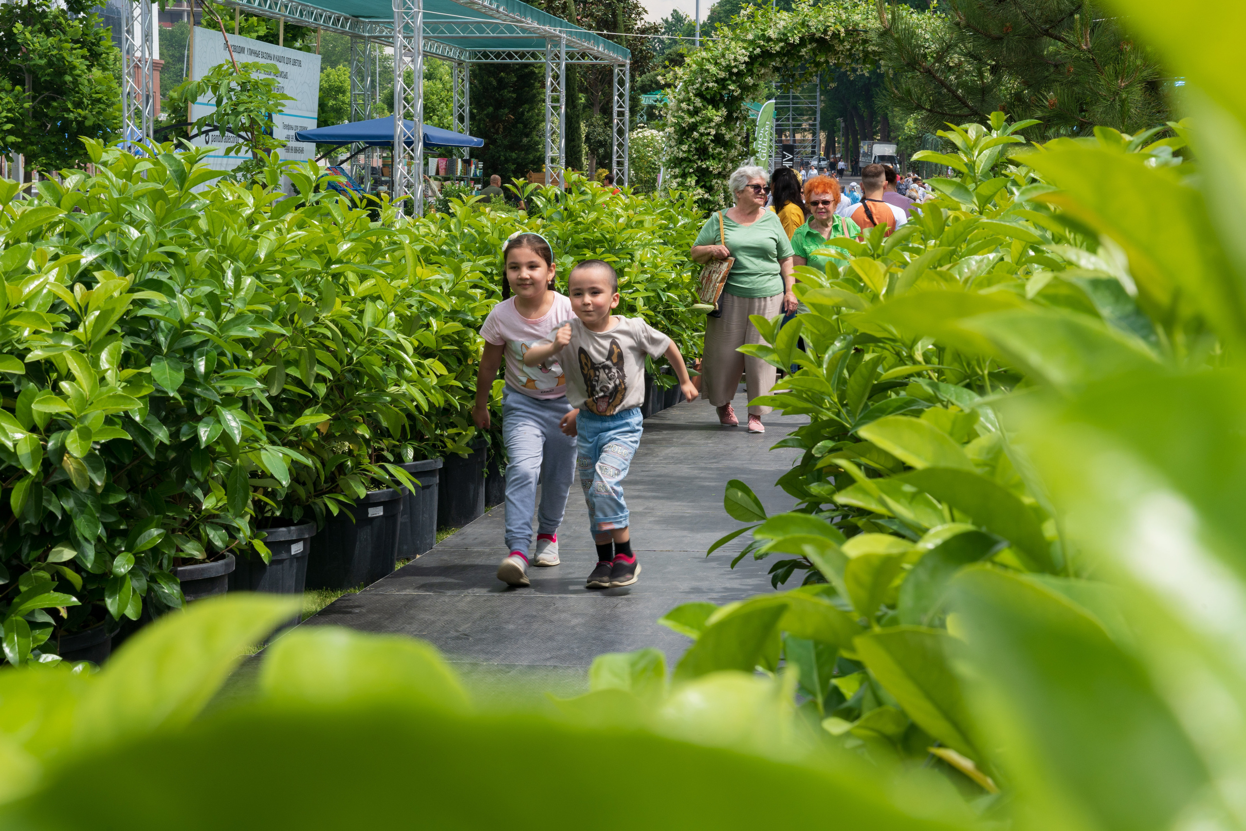 Tashkent Flower Fest. Георгий Намазов | Фотограф в Ташкенте
