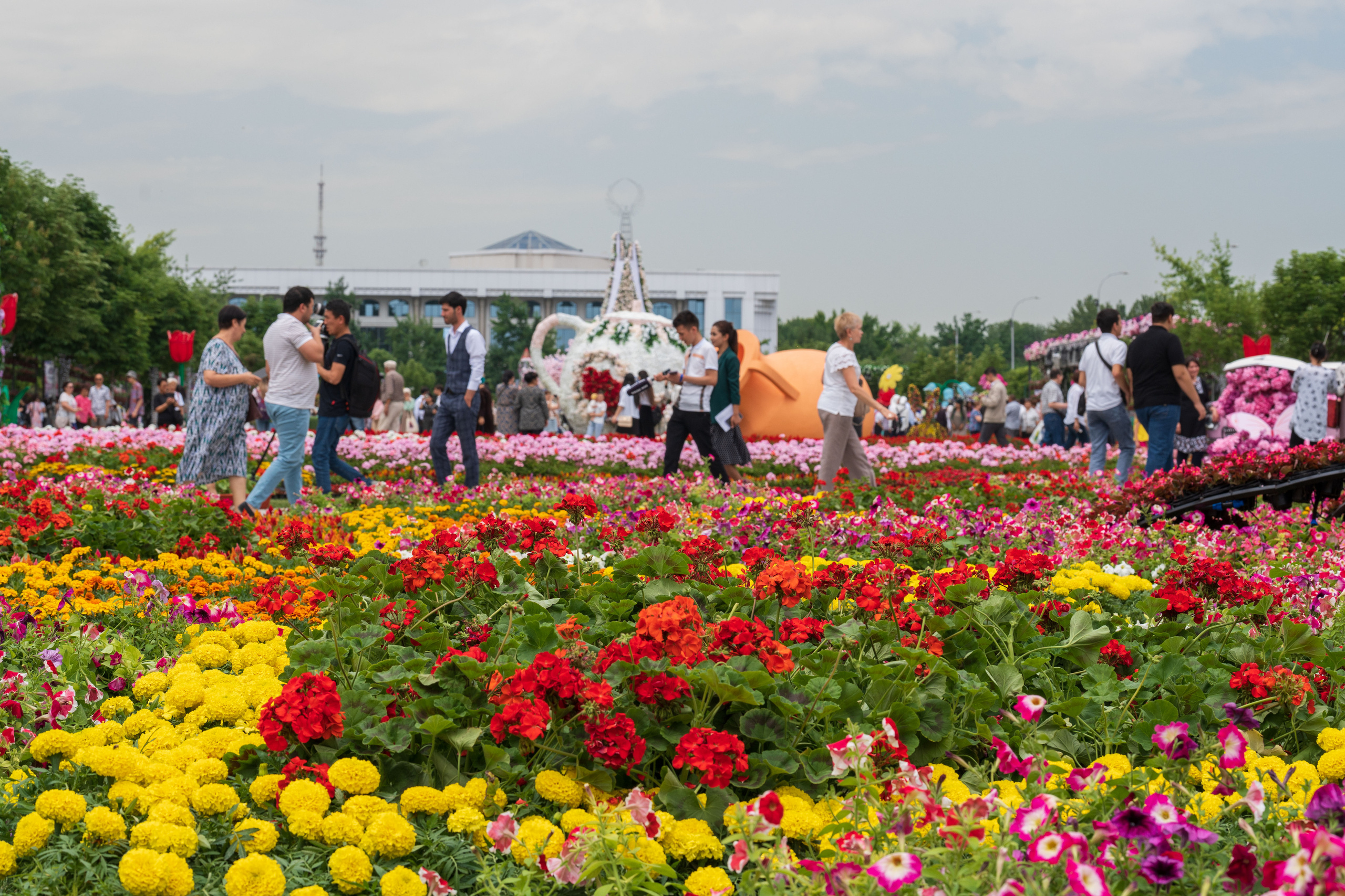Tashkent Flower Fest. Георгий Намазов | Фотограф в Ташкенте