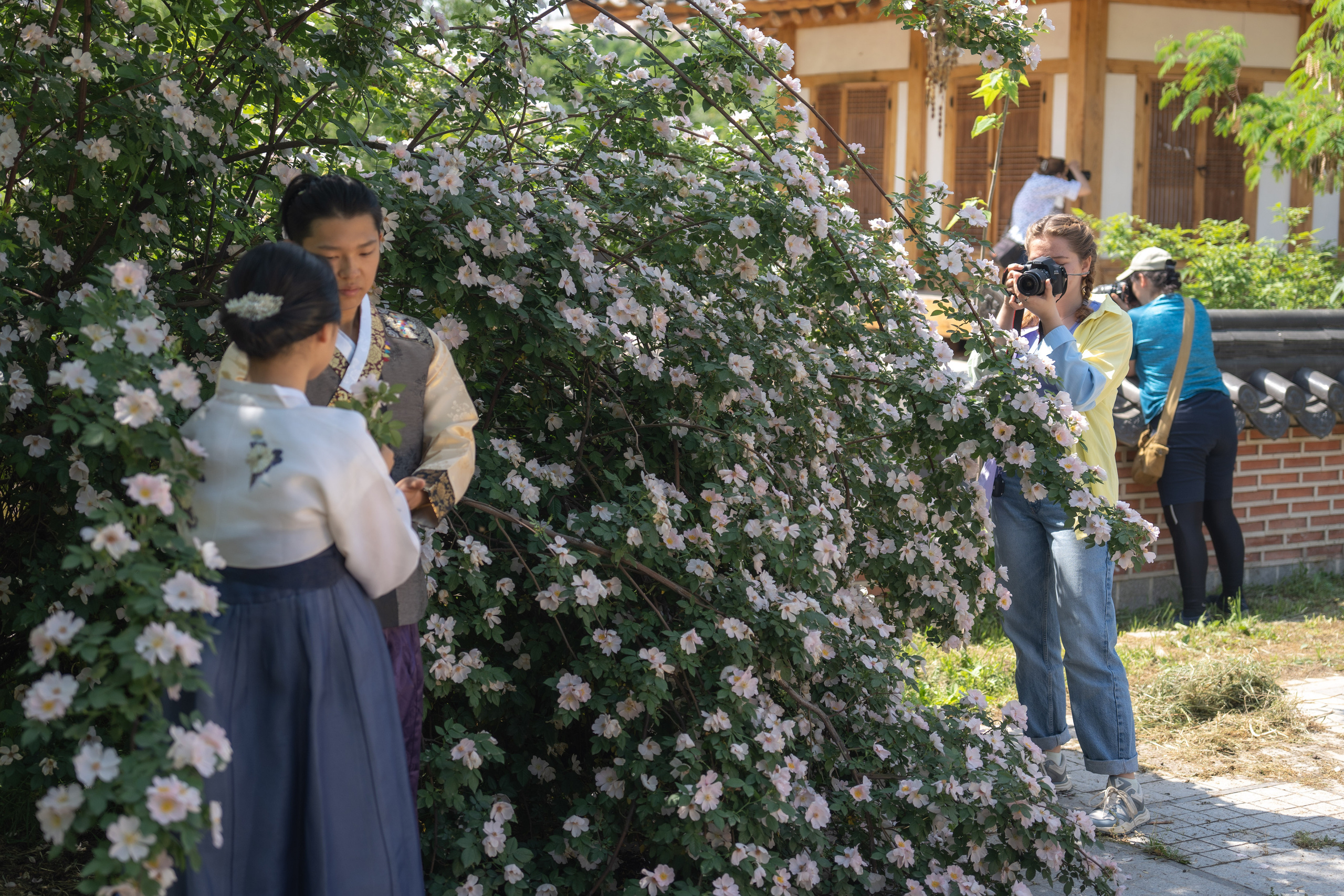 MK Sigma — Этника. Естественный свет. Георгий Намазов | Фотограф в Ташкенте