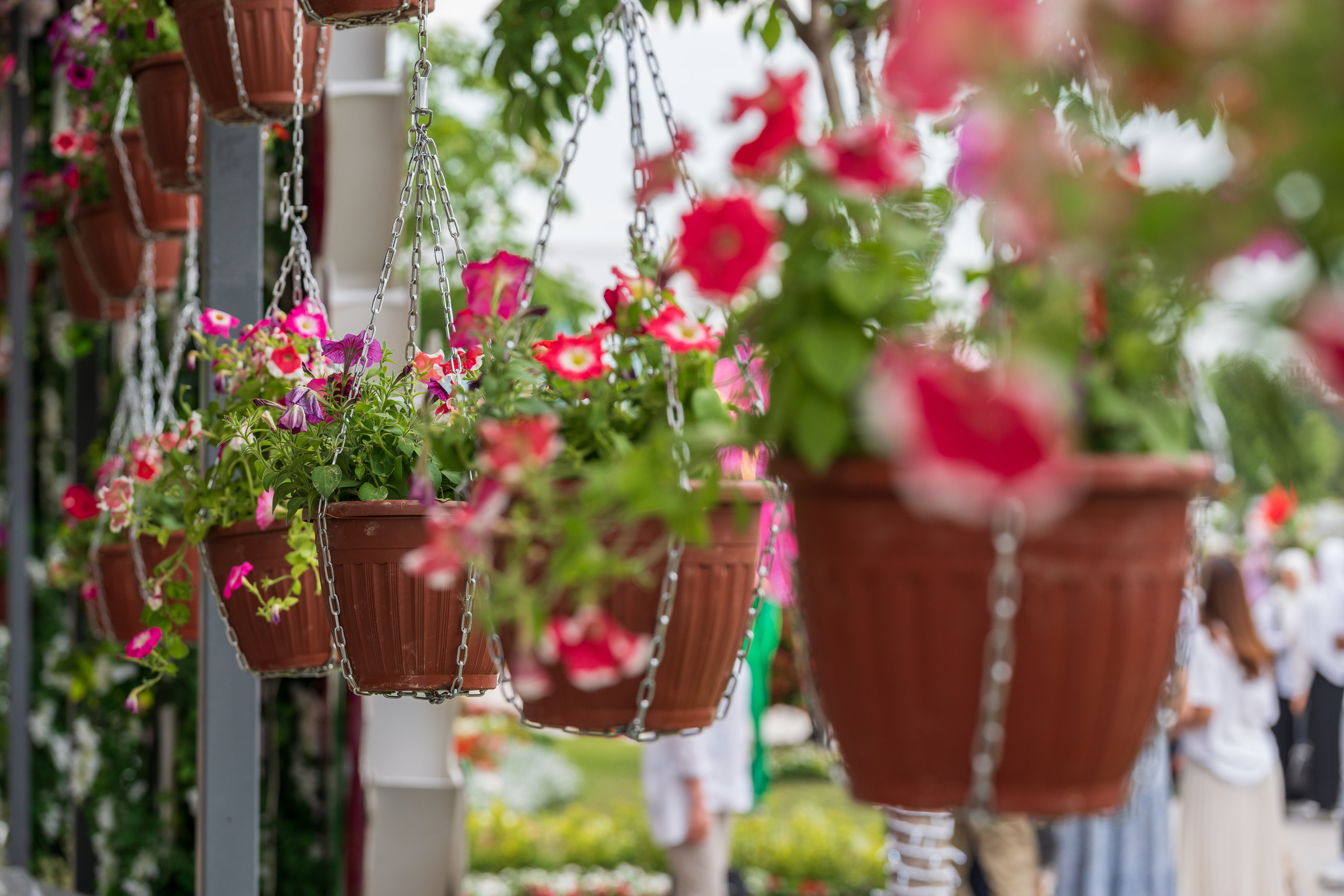Tashkent Flower Fest. Георгий Намазов | Фотограф в Ташкенте
