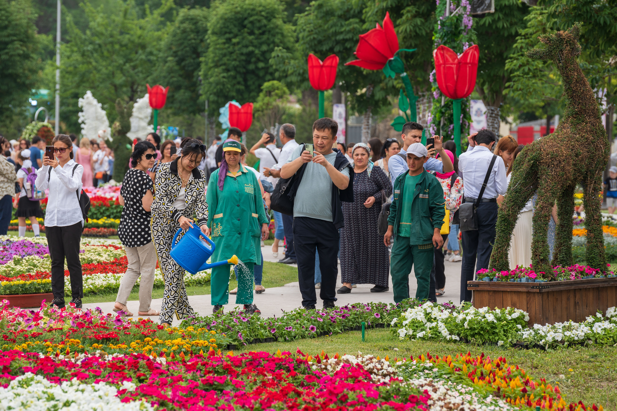 Tashkent Flower Fest. Георгий Намазов | Фотограф в Ташкенте
