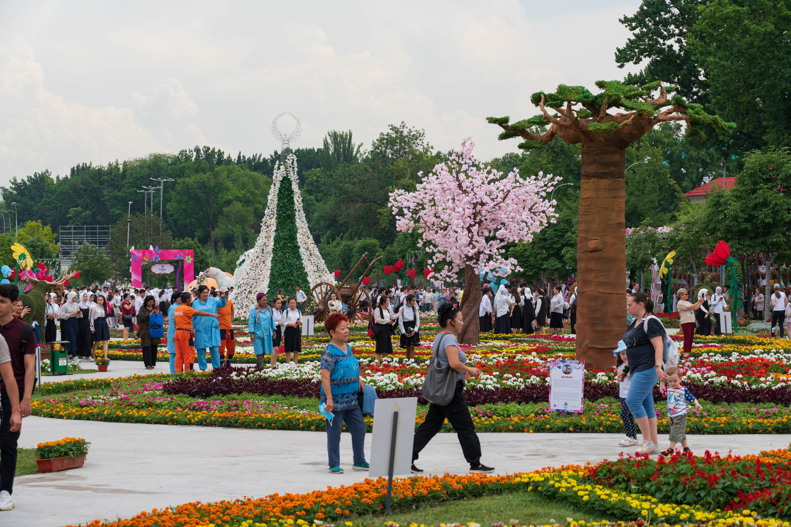 Tashkent Flower Fest. Георгий Намазов | Фотограф в Ташкенте
