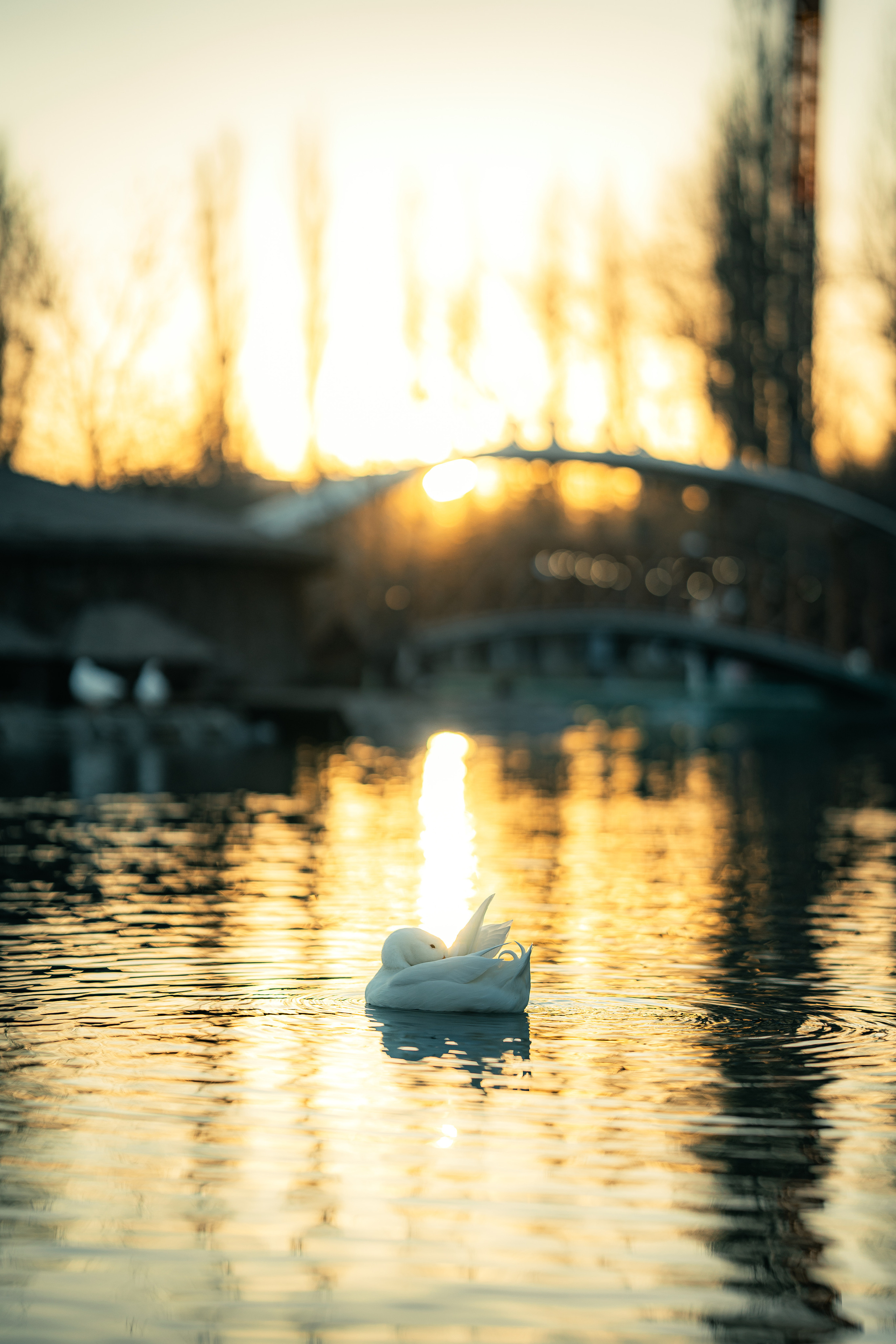 Стрит и Урбан. Георгий Намазов | Фотограф в Ташкенте