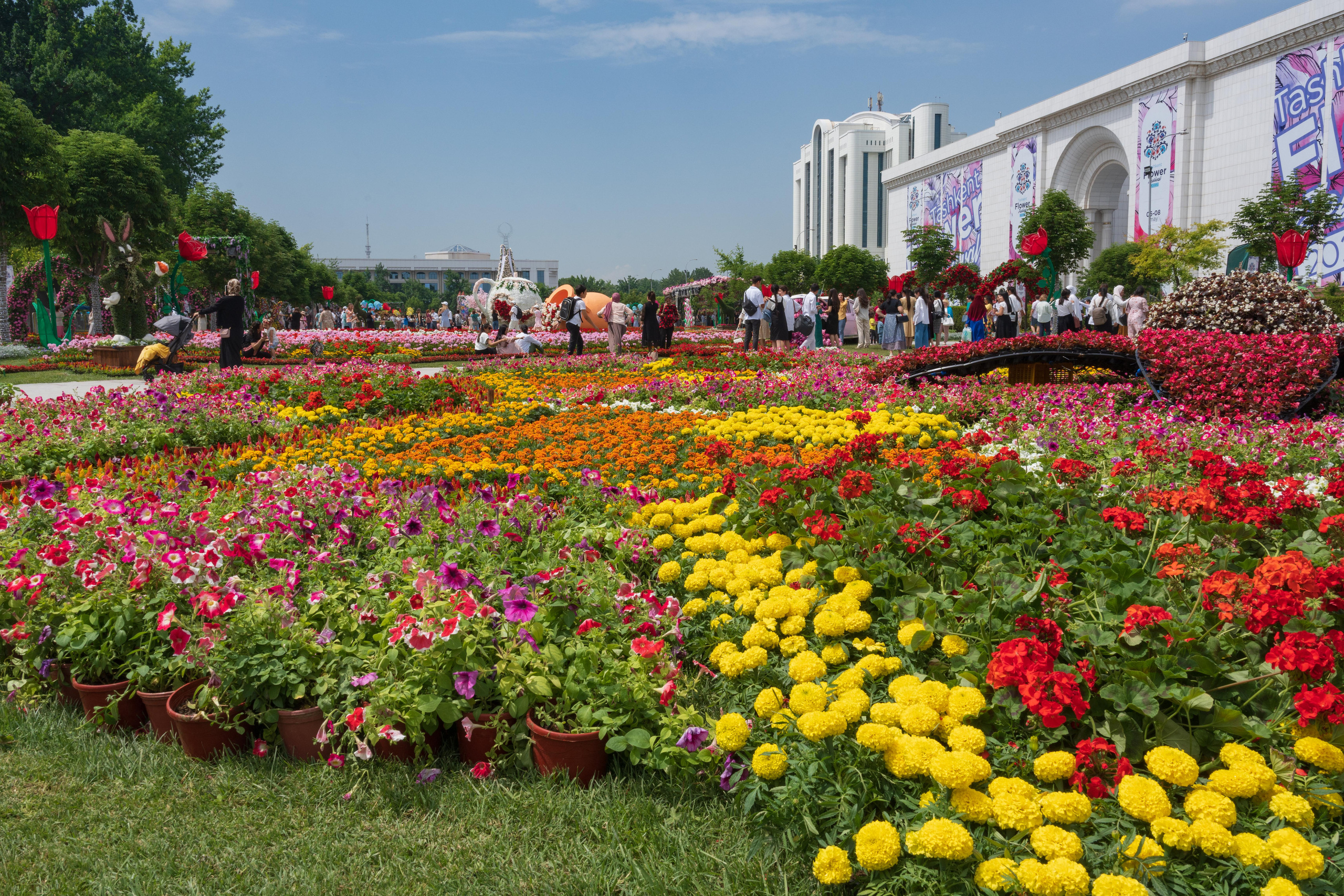 Tashkent Flower Fest. Георгий Намазов | Фотограф в Ташкенте