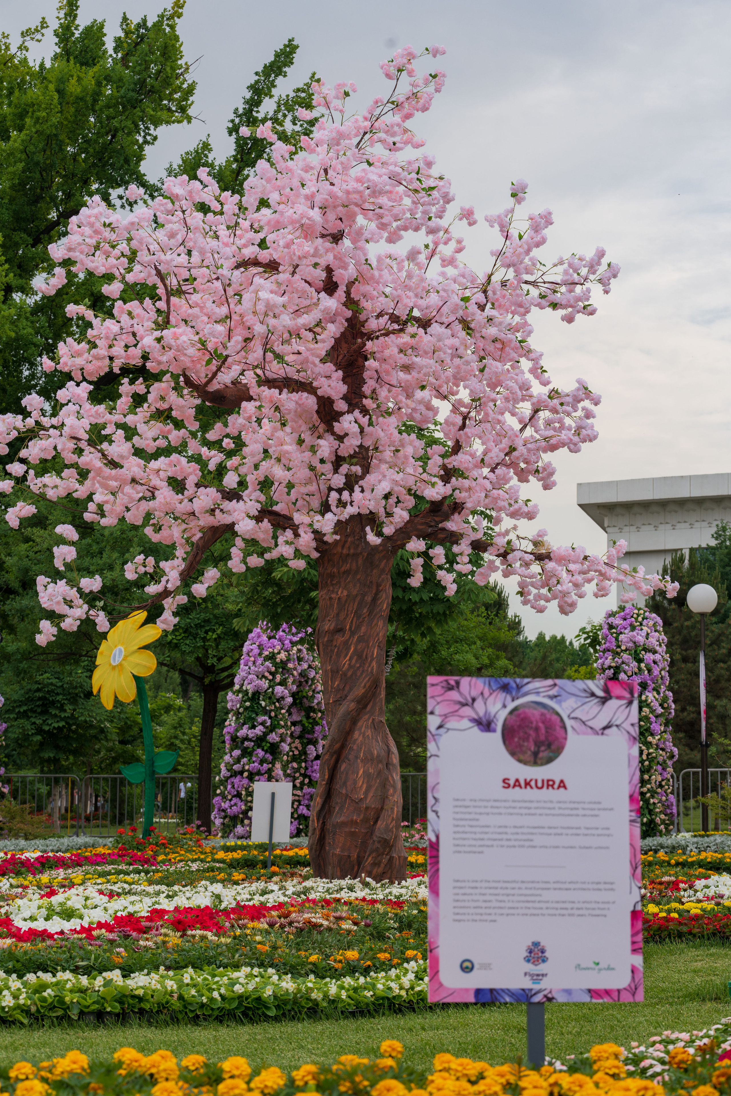 Tashkent Flower Fest. Георгий Намазов | Фотограф в Ташкенте