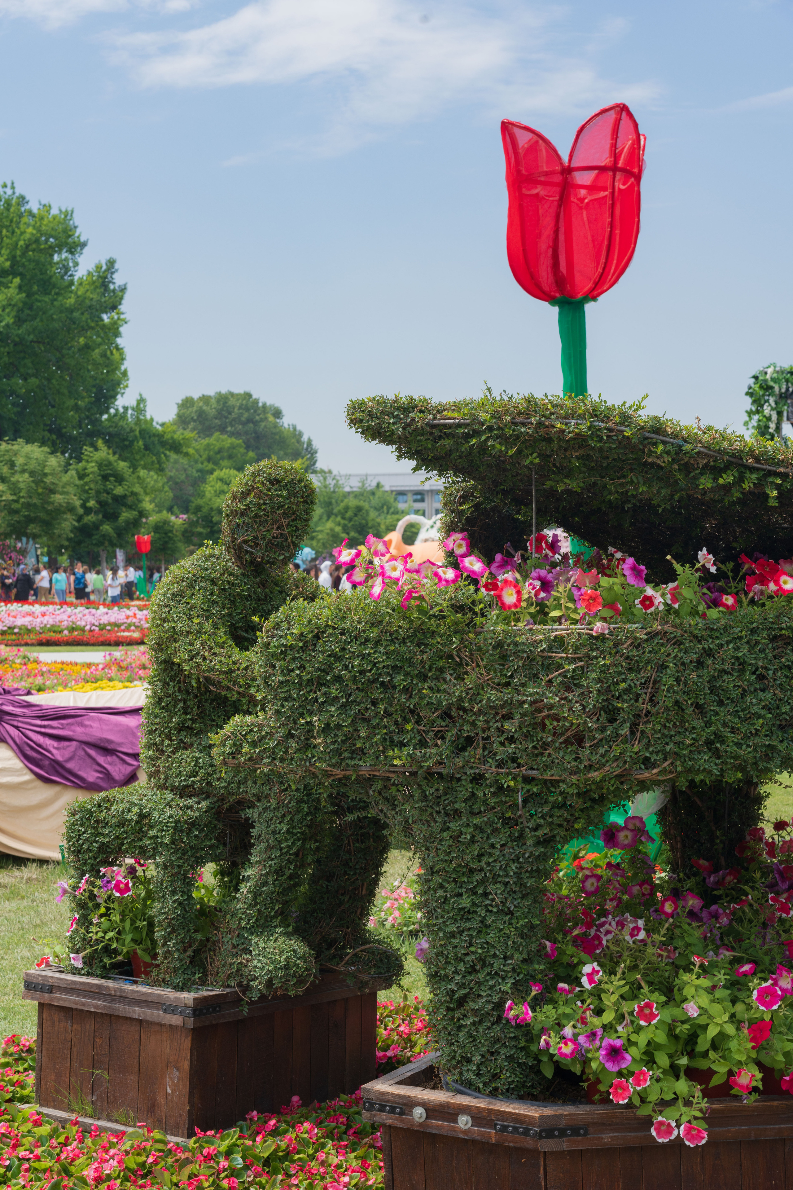 Tashkent Flower Fest. Георгий Намазов | Фотограф в Ташкенте