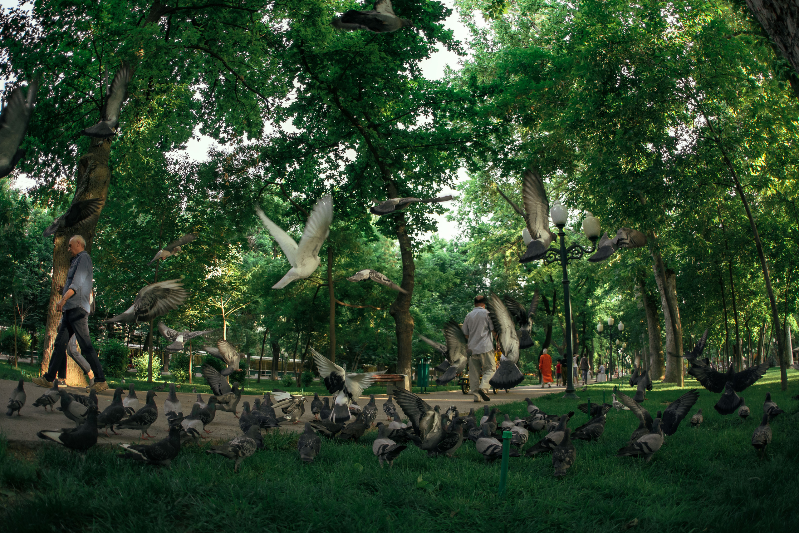 Стрит и Урбан. Георгий Намазов | Фотограф в Ташкенте