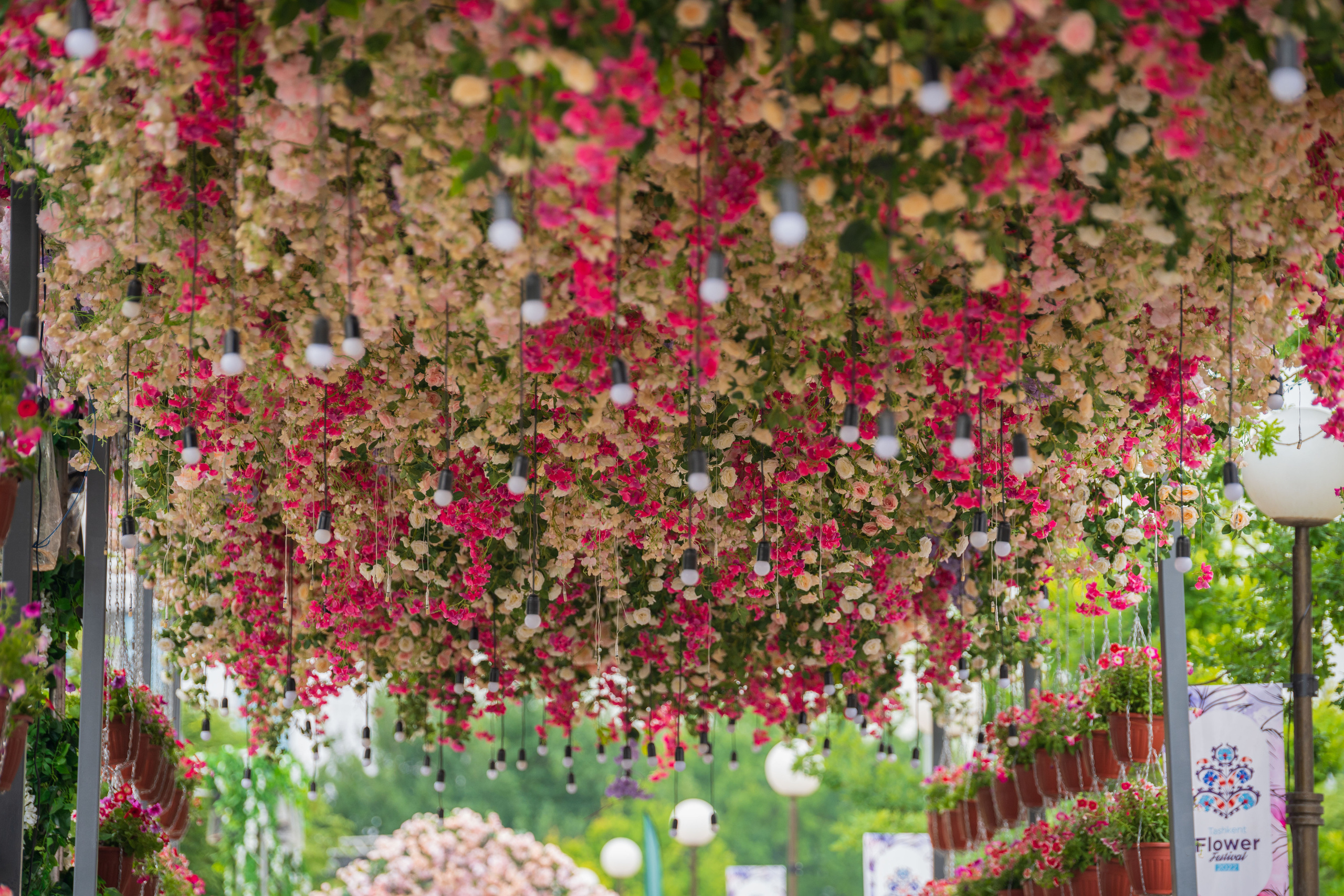 Tashkent Flower Fest. Георгий Намазов | Фотограф в Ташкенте