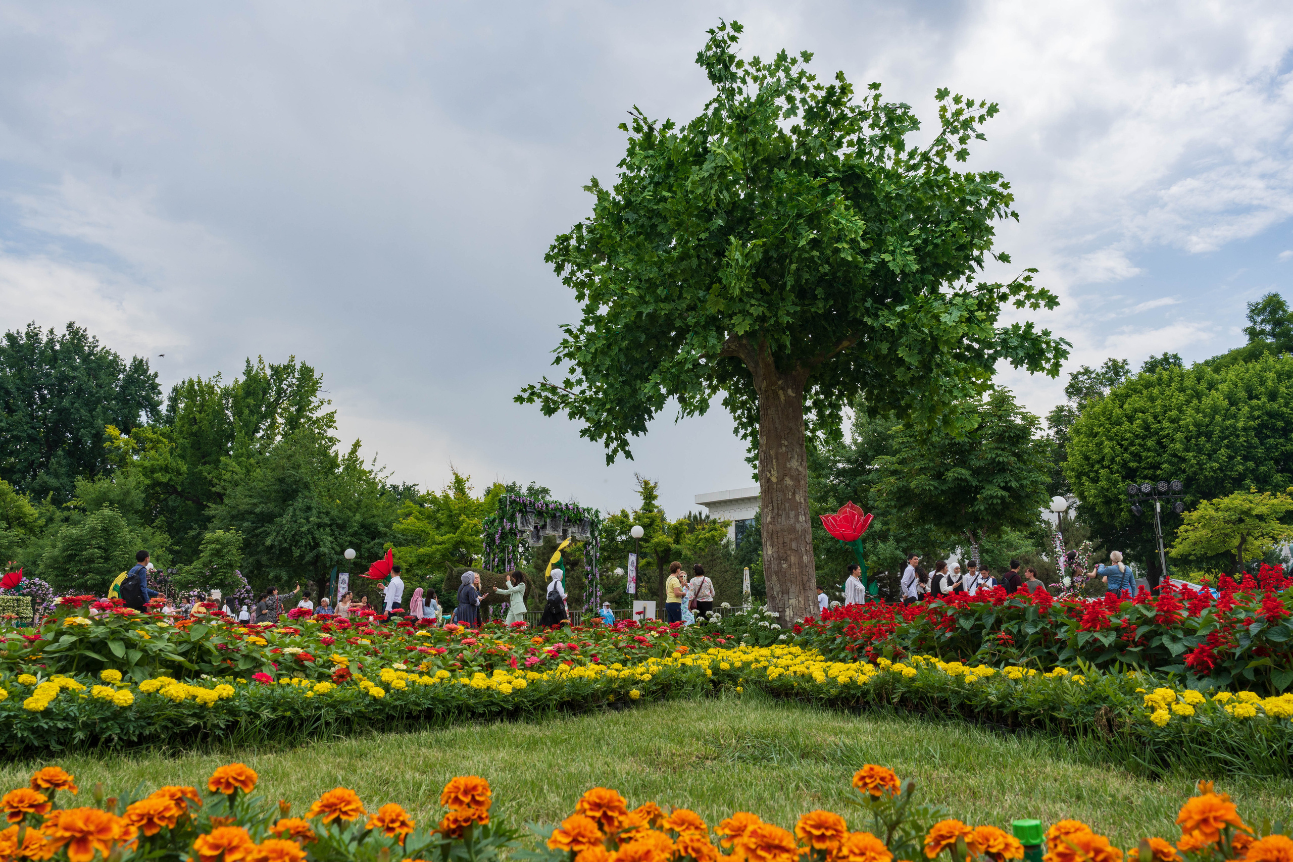 Tashkent Flower Fest. Георгий Намазов | Фотограф в Ташкенте
