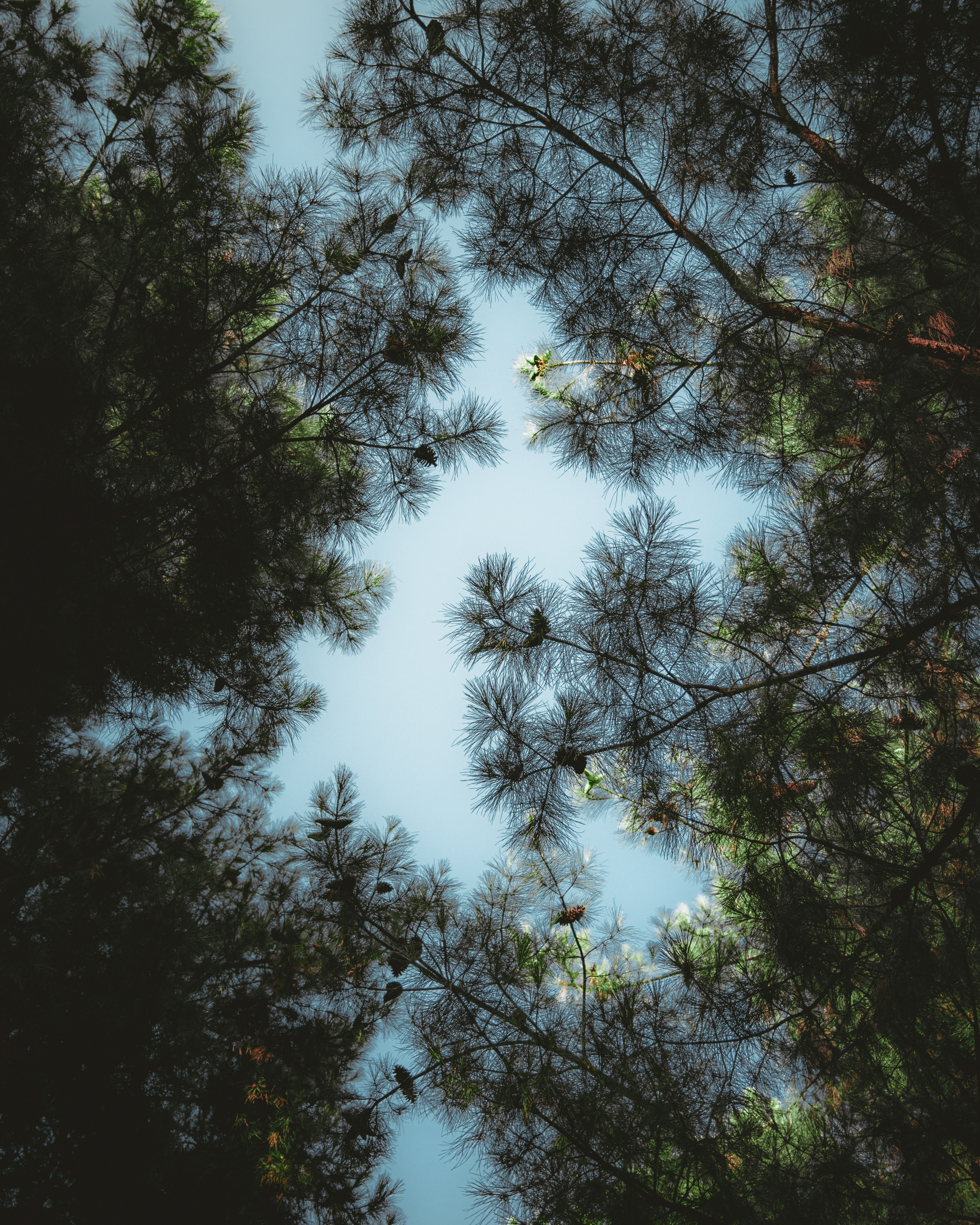 Стрит и Урбан. Георгий Намазов | Фотограф в Ташкенте