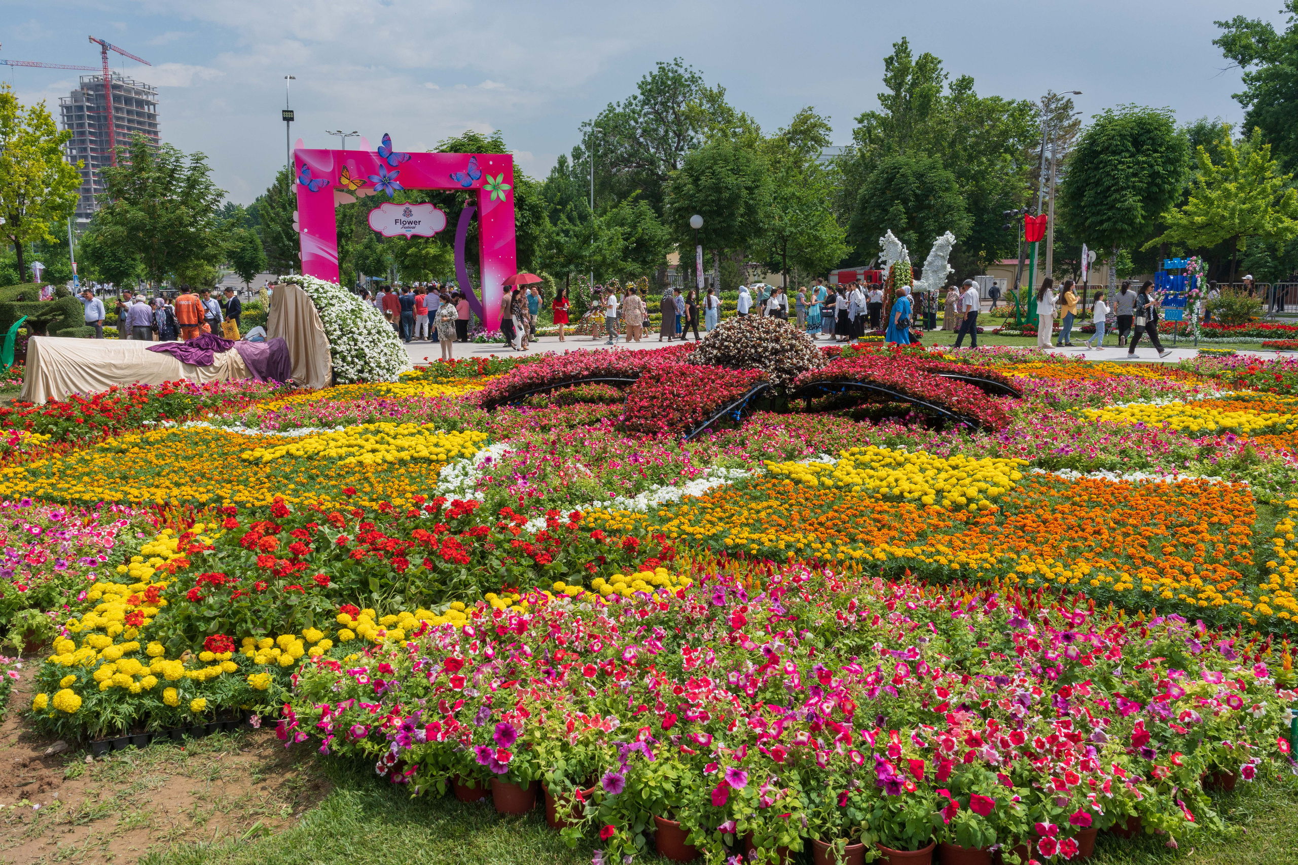 Tashkent Flower Fest. Георгий Намазов | Фотограф в Ташкенте